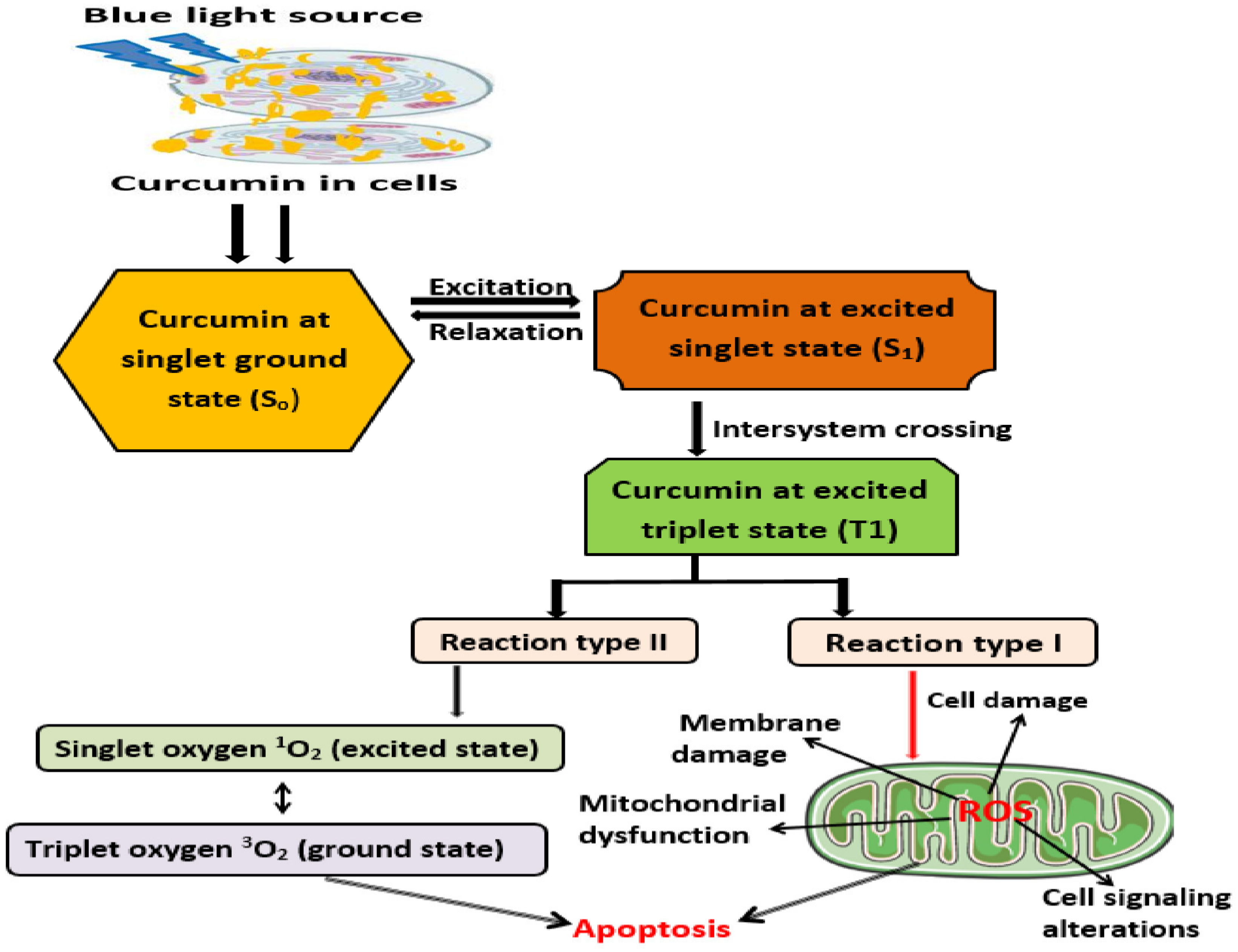 Pharmaceutics 15 00639 g001 Pharmaceutics 15 00639 g001