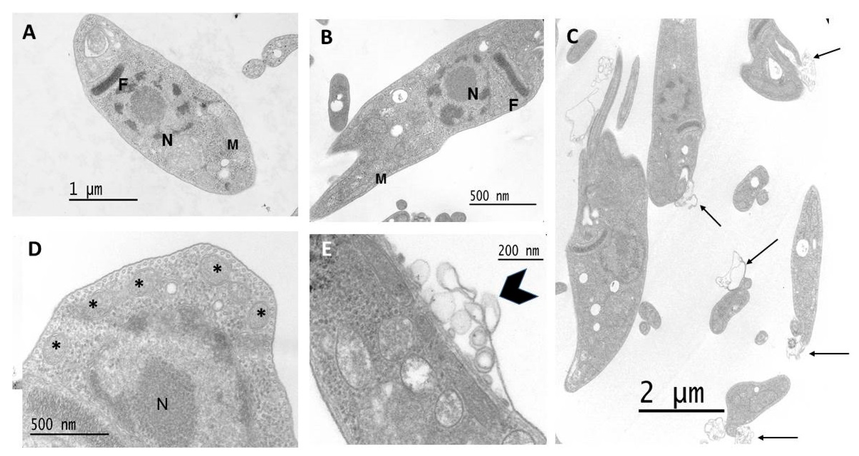 Pharmaceutics 15 00647 g008