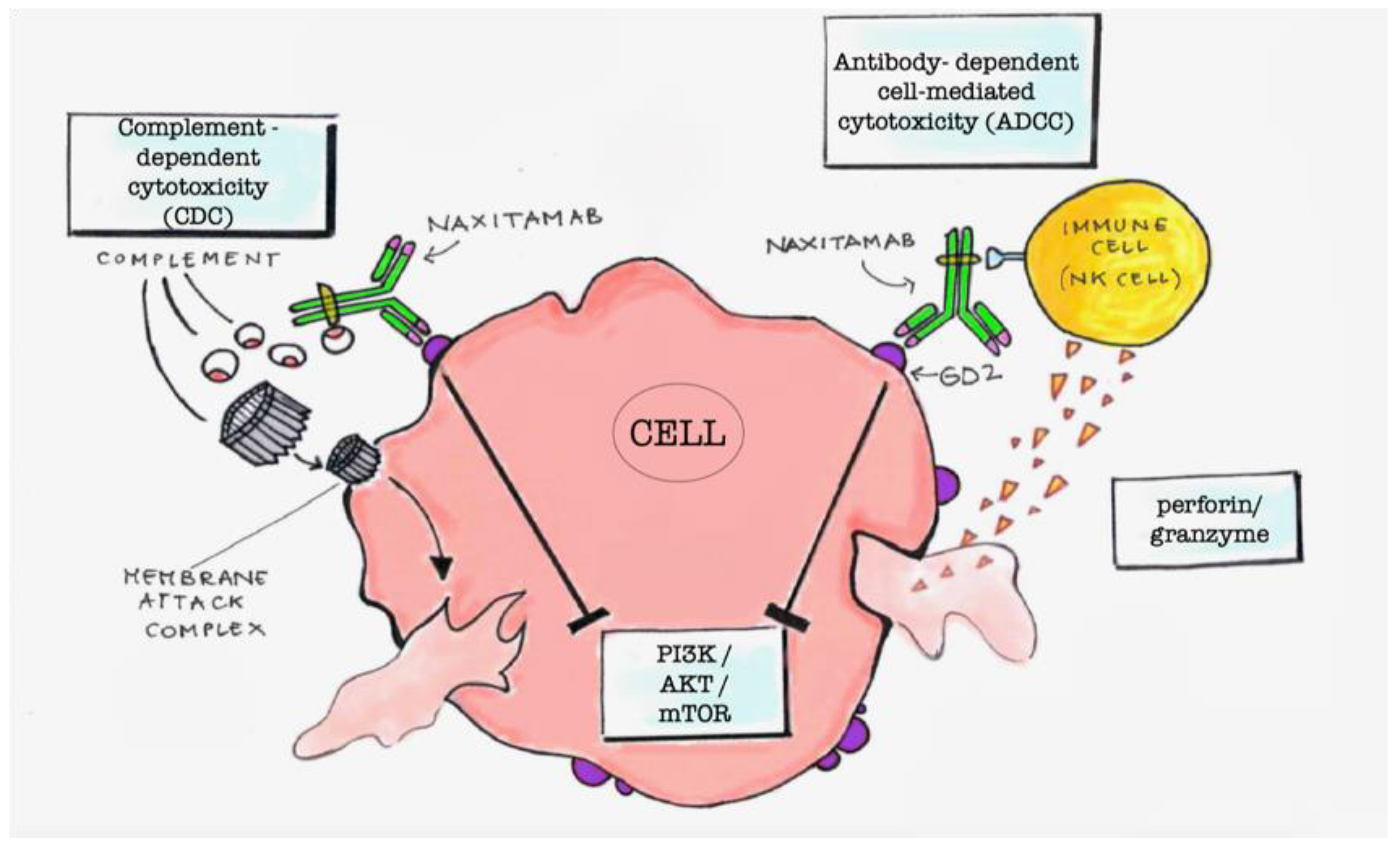 Pharmaceutics 15 00648 g001 Pharmaceutics 15 00648 g001