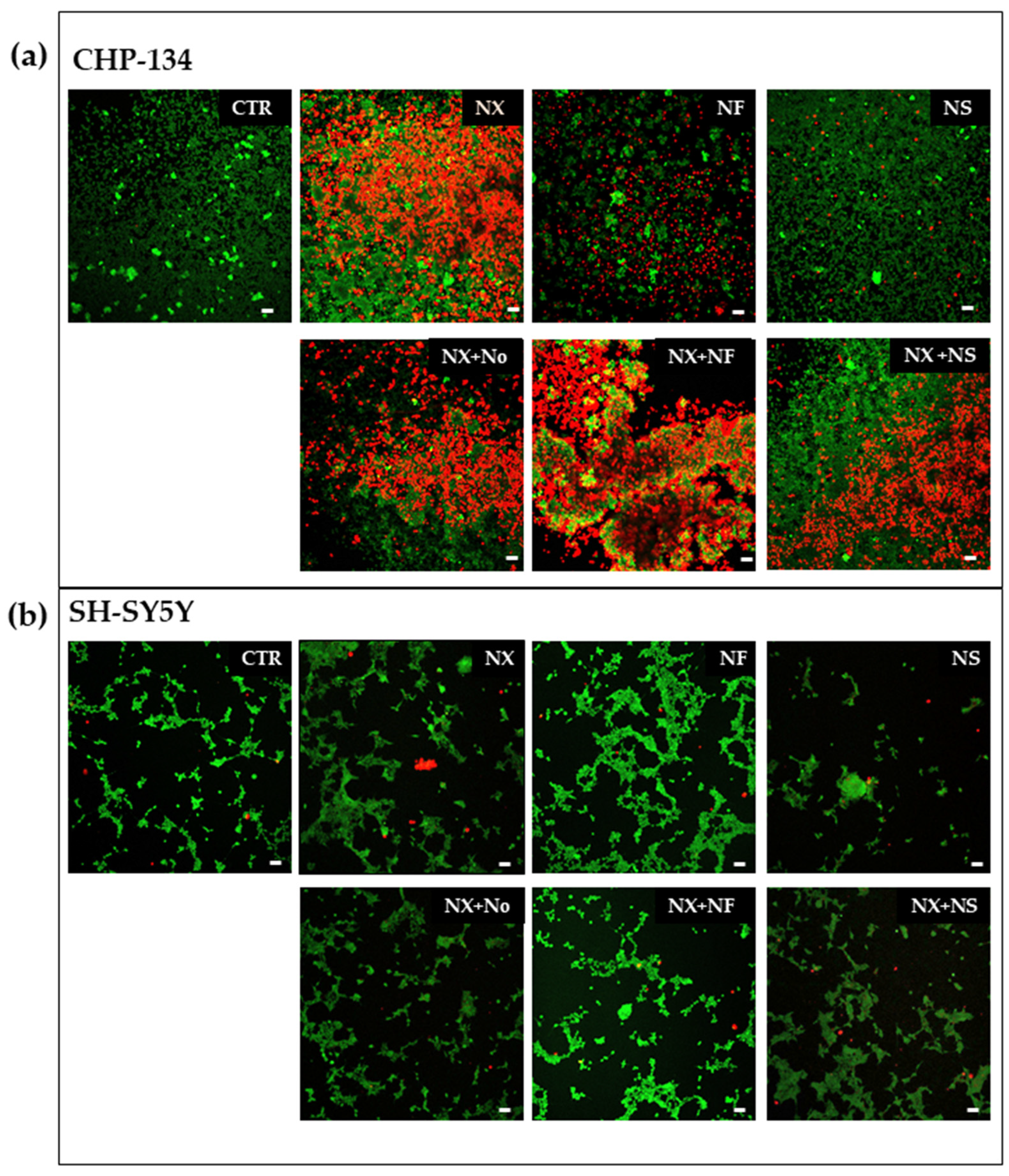 Pharmaceutics 15 00648 g005 Pharmaceutics 15 00648 g005