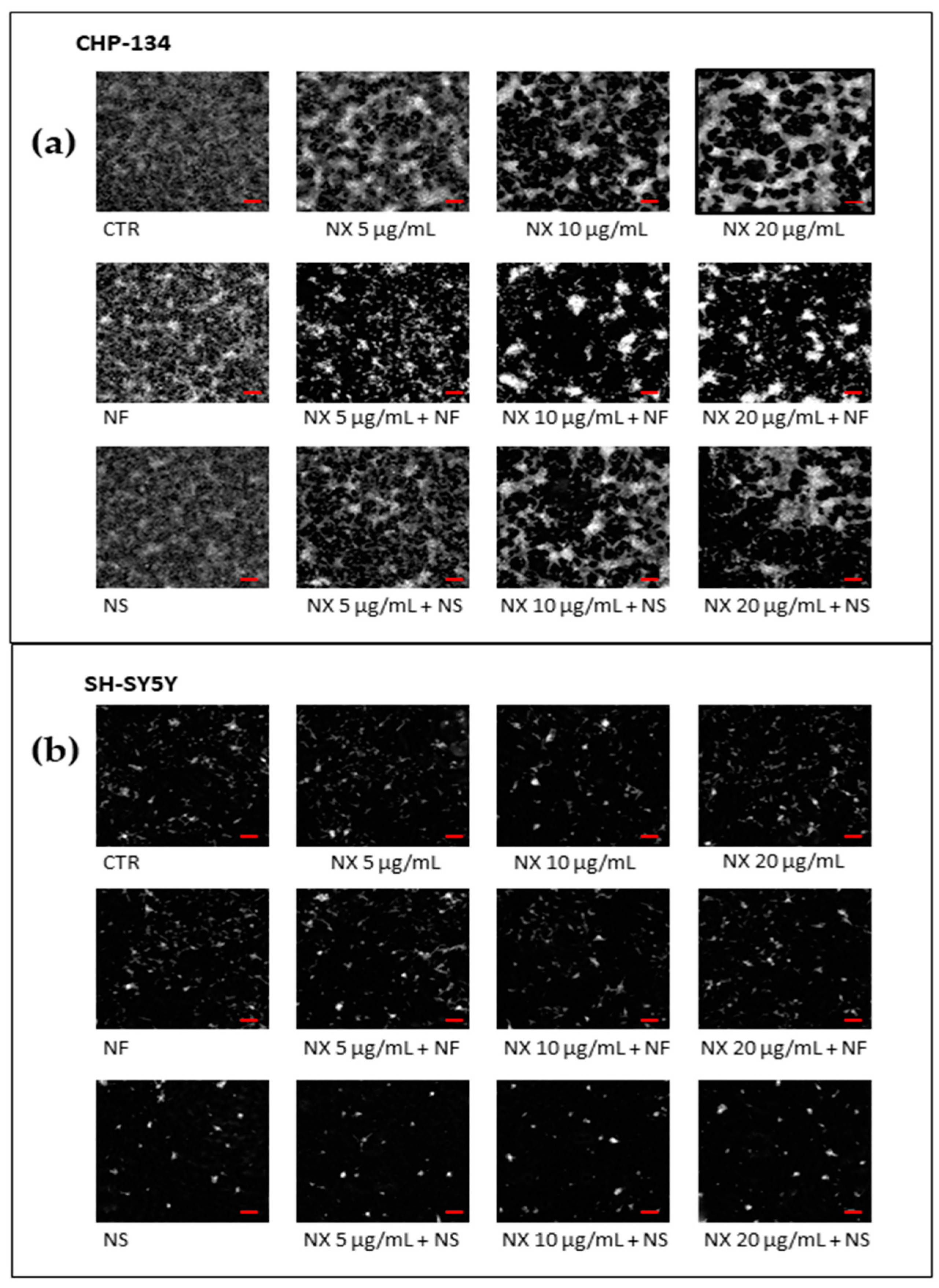 Pharmaceutics 15 00648 g006 Pharmaceutics 15 00648 g006