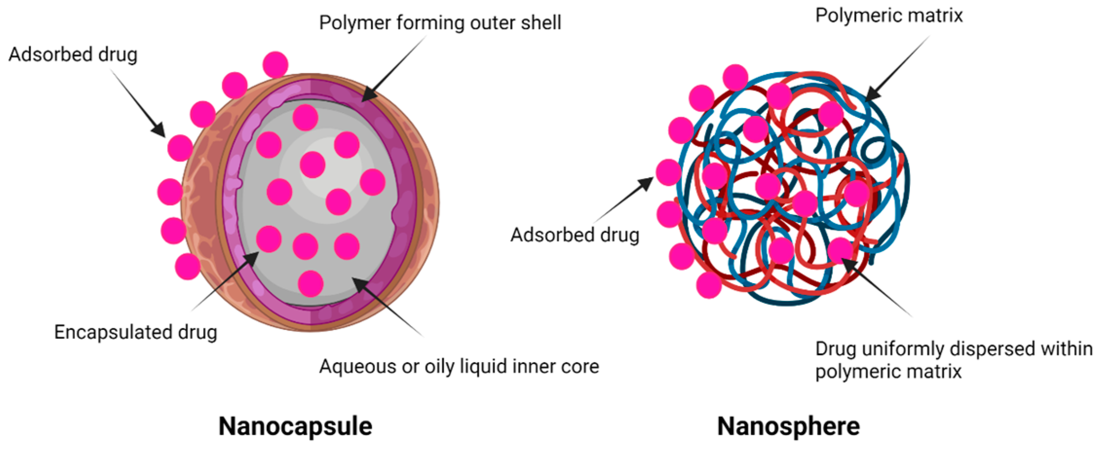 Pharmaceutics 15 00657 g002 Pharmaceutics 15 00657 g002