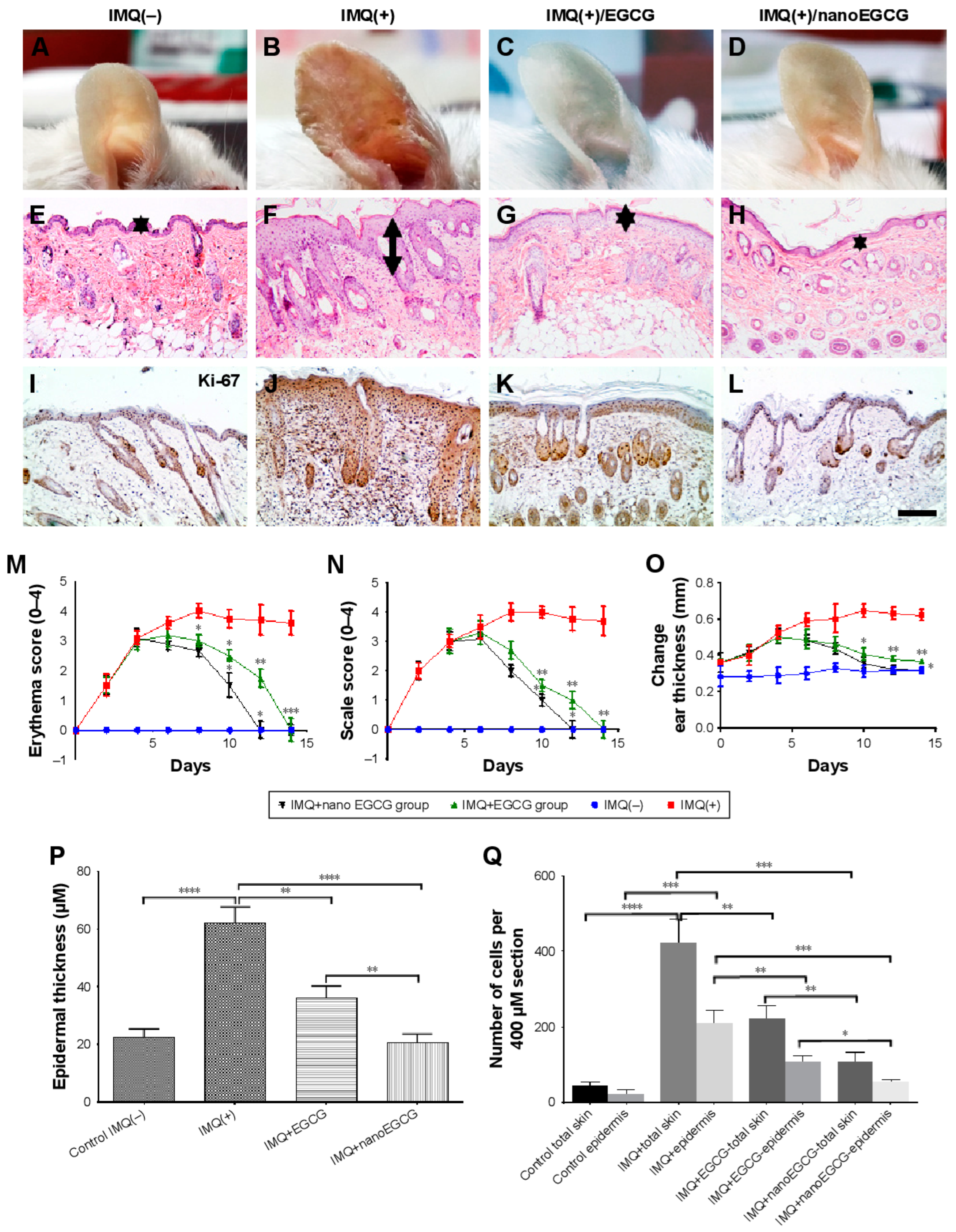 Pharmaceutics 15 00657 g004 Pharmaceutics 15 00657 g004