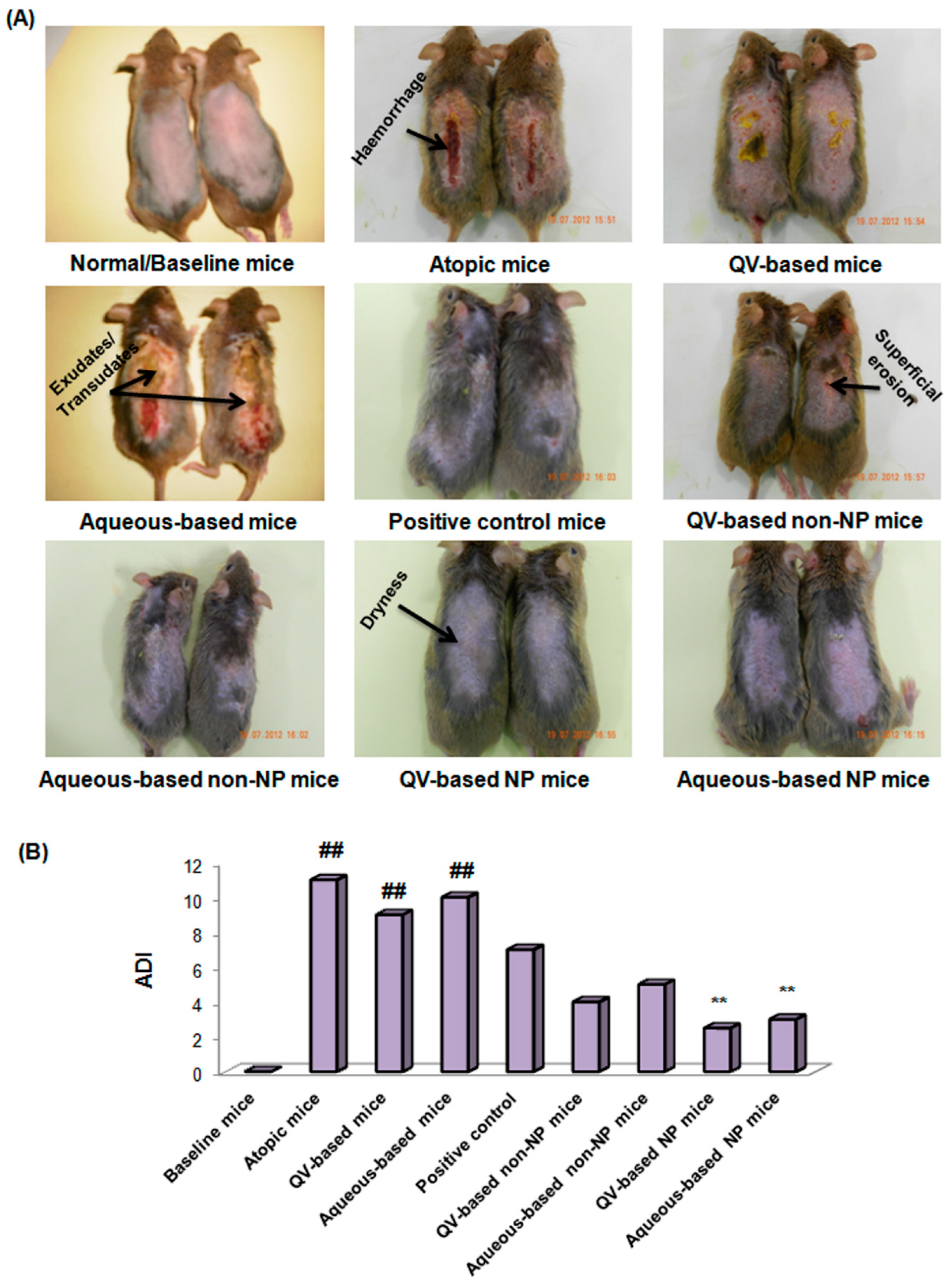 Pharmaceutics 15 00657 g005 Pharmaceutics 15 00657 g005