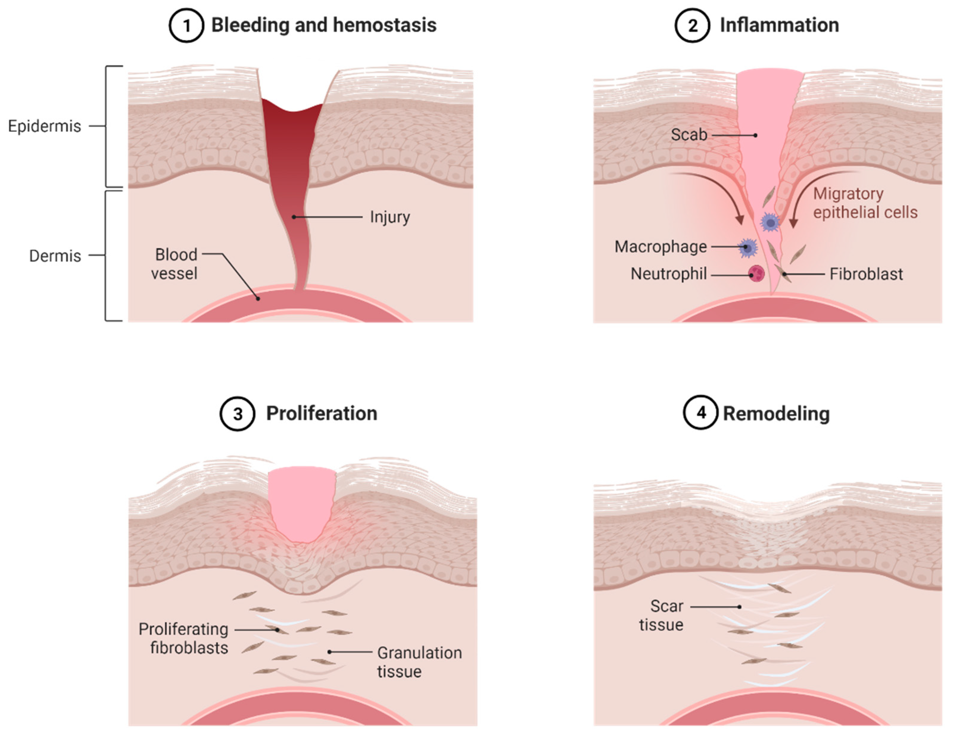 Pharmaceutics 15 00657 g006 Pharmaceutics 15 00657 g006