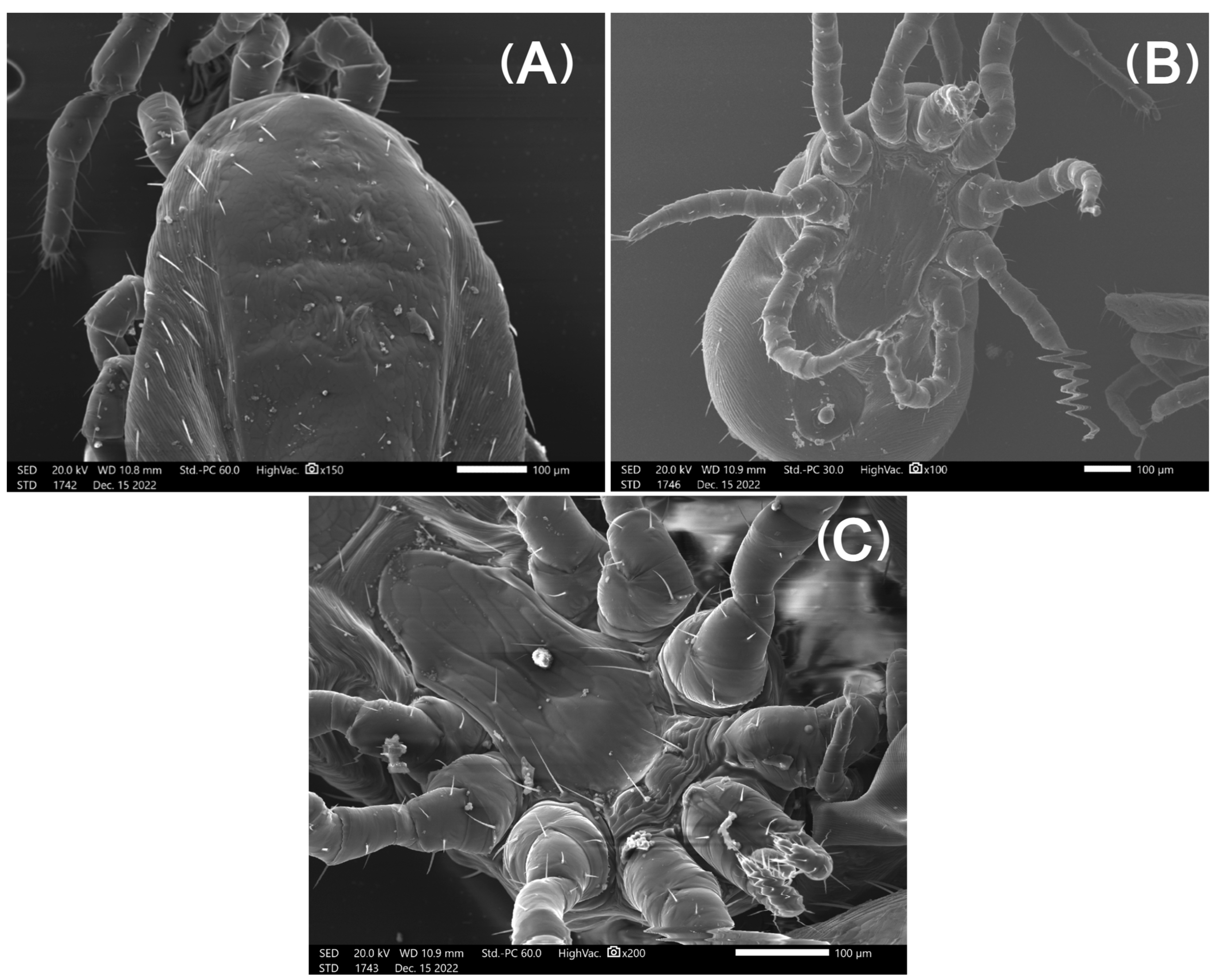 Pharmaceutics 15 00659 g003