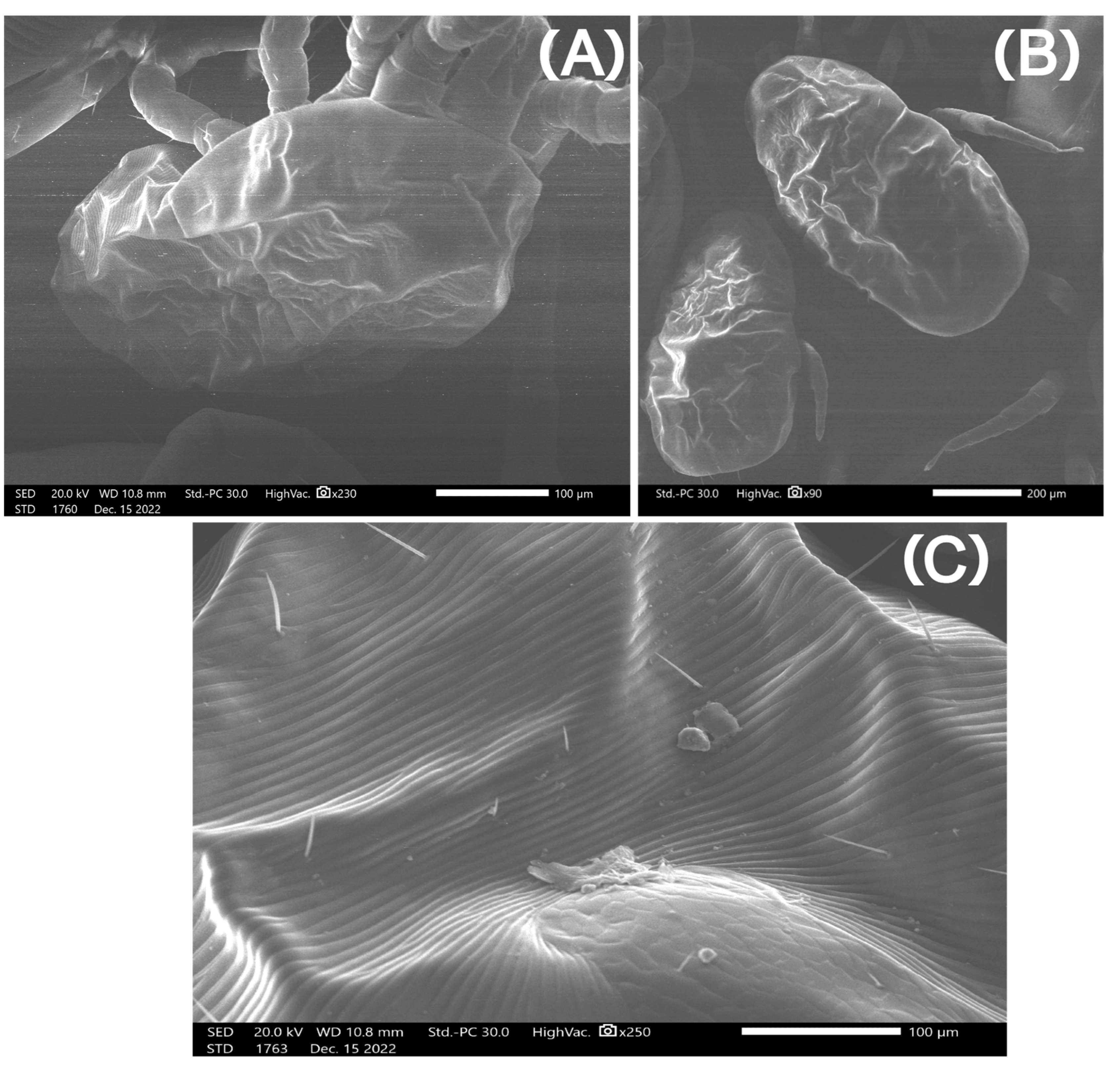Pharmaceutics 15 00659 g004