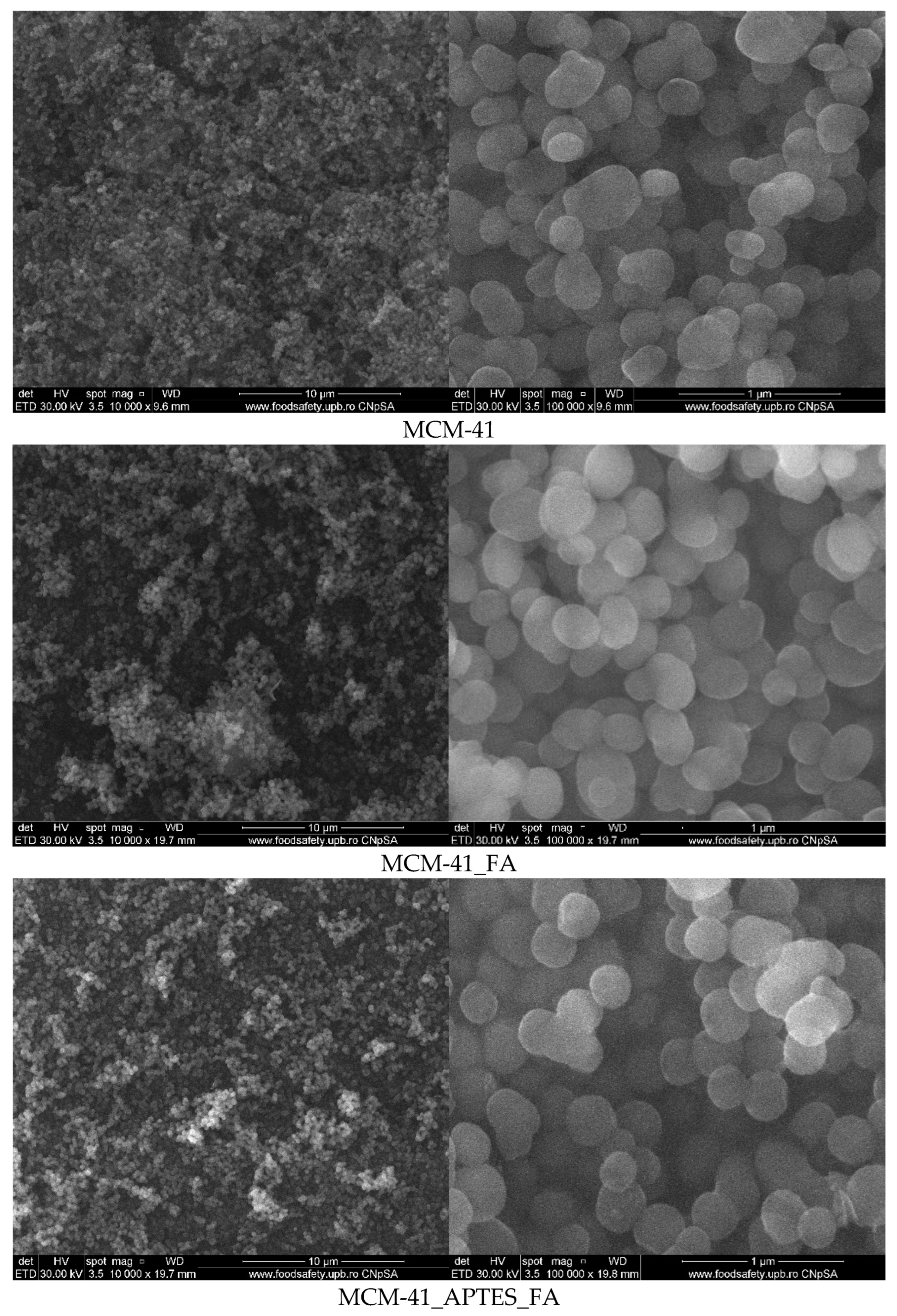 Pharmaceutics 15 00660 g006