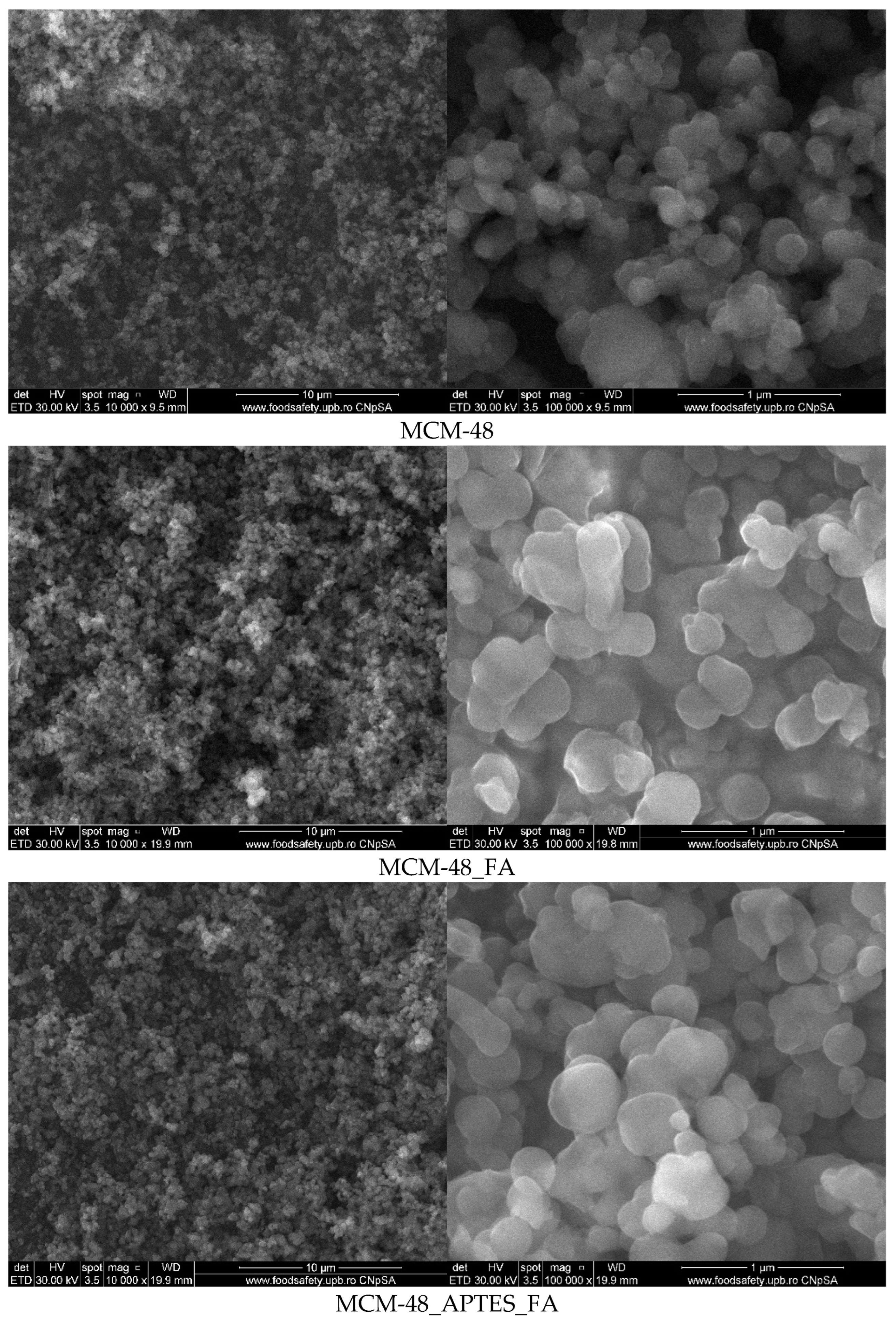 Pharmaceutics 15 00660 g007