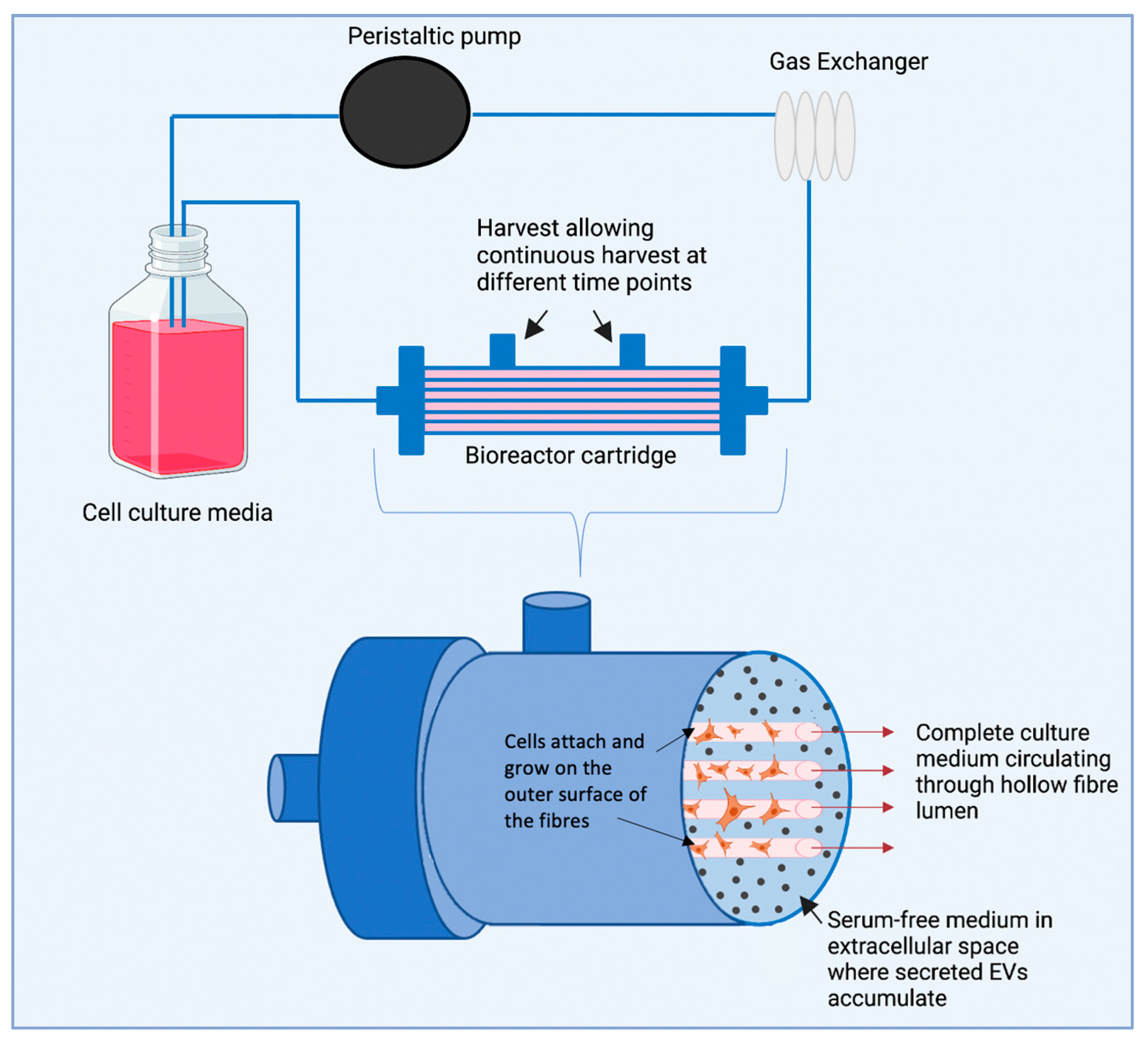 Pharmaceutics 15 00663 g005 Pharmaceutics 15 00663 g005