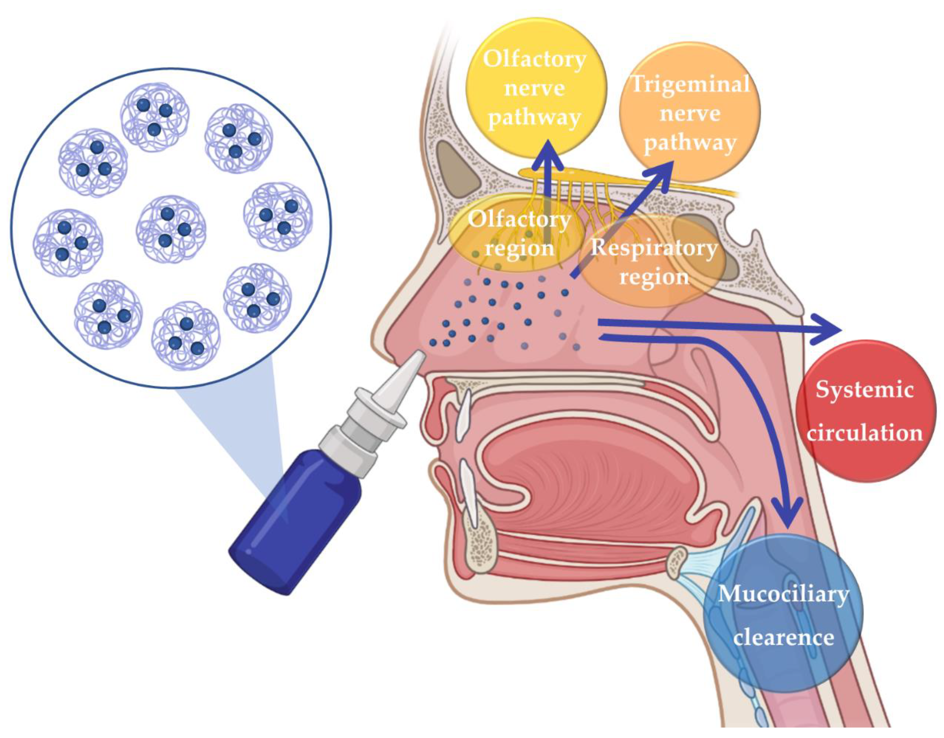Pharmaceutics 15 00678 g001