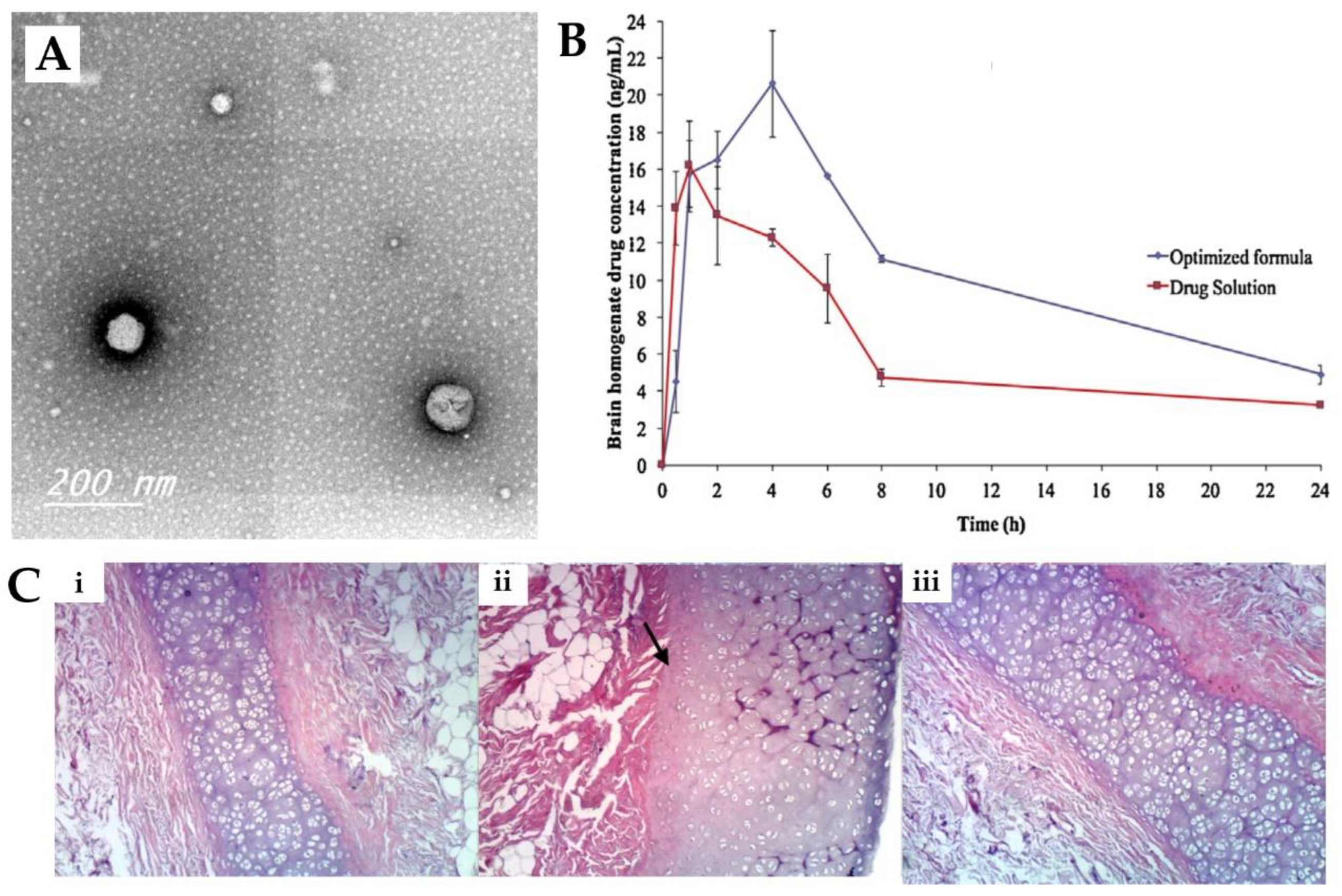 Pharmaceutics 15 00678 g003
