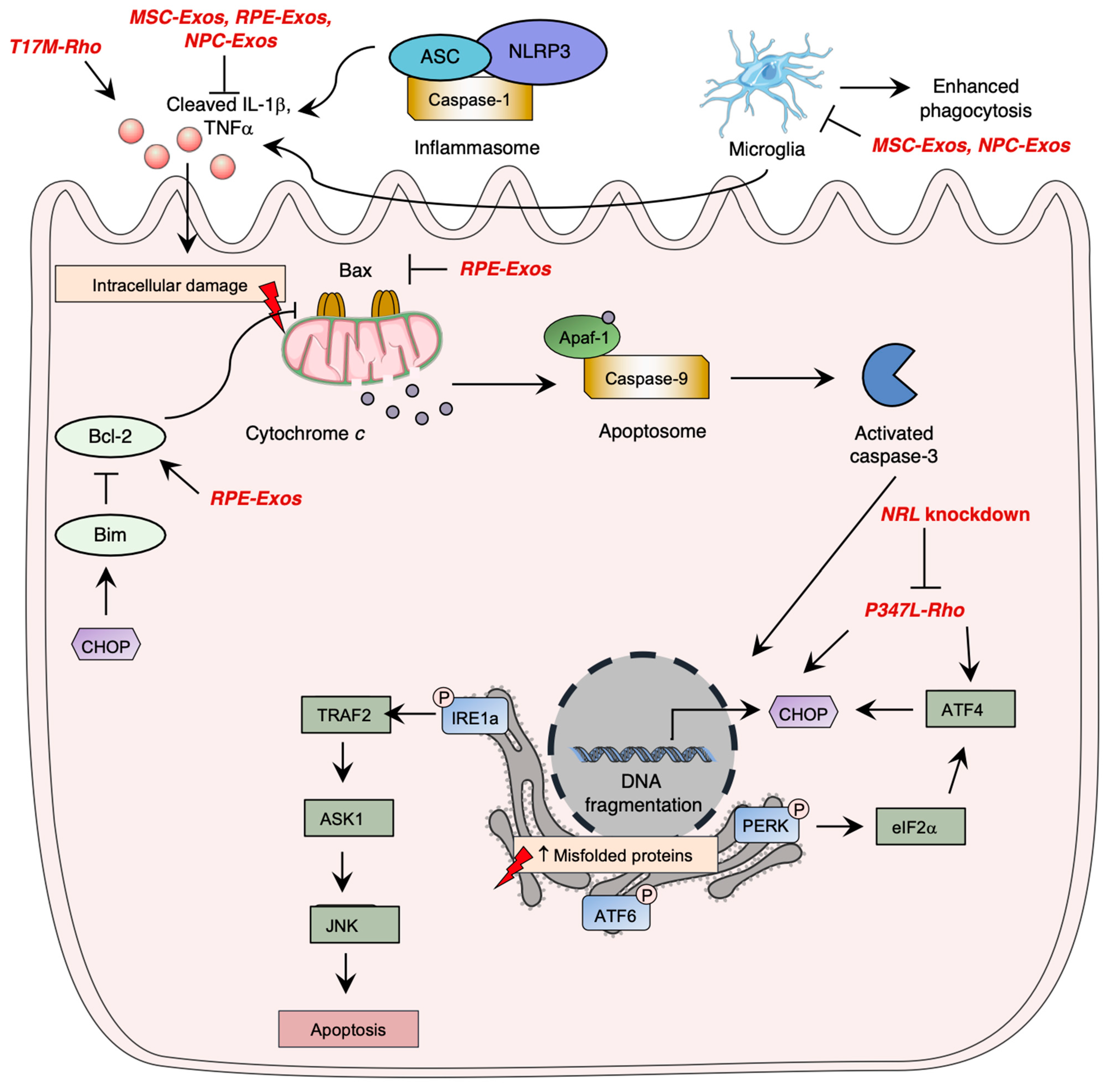 Pharmaceutics 15 00685 g003 Pharmaceutics 15 00685 g003