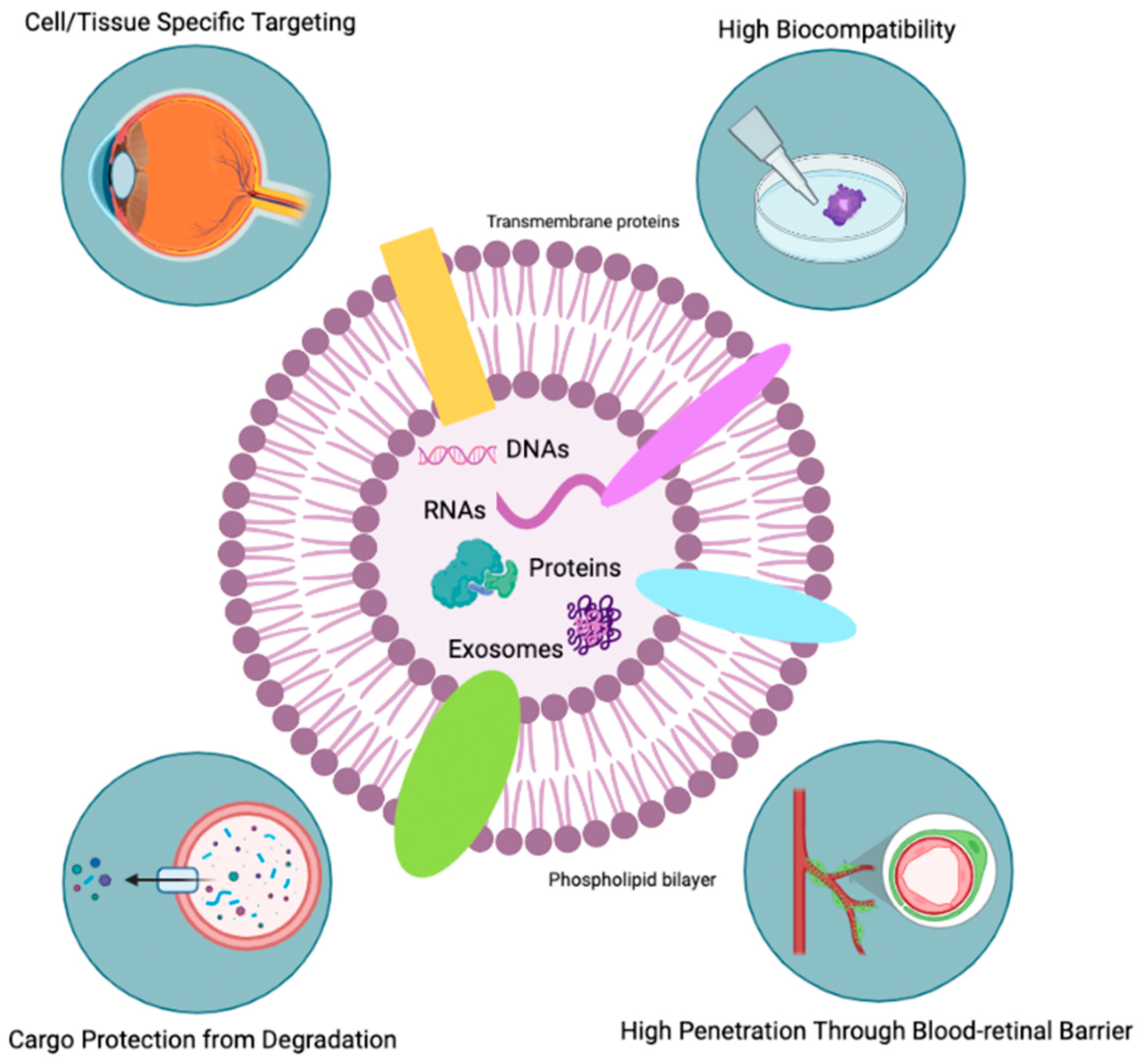 Pharmaceutics 15 00685 g004 Pharmaceutics 15 00685 g004