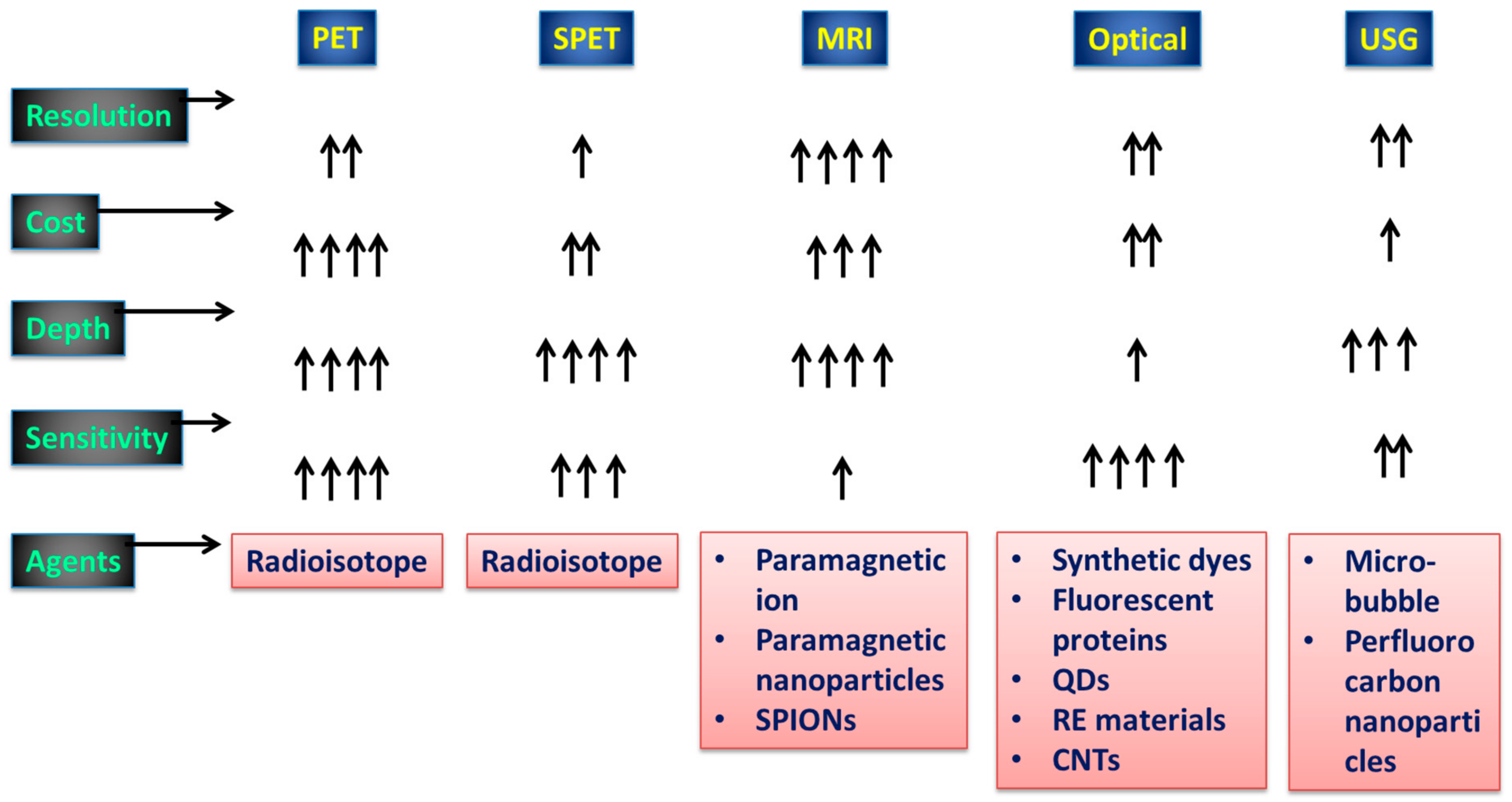 Pharmaceutics 15 00686 g001
