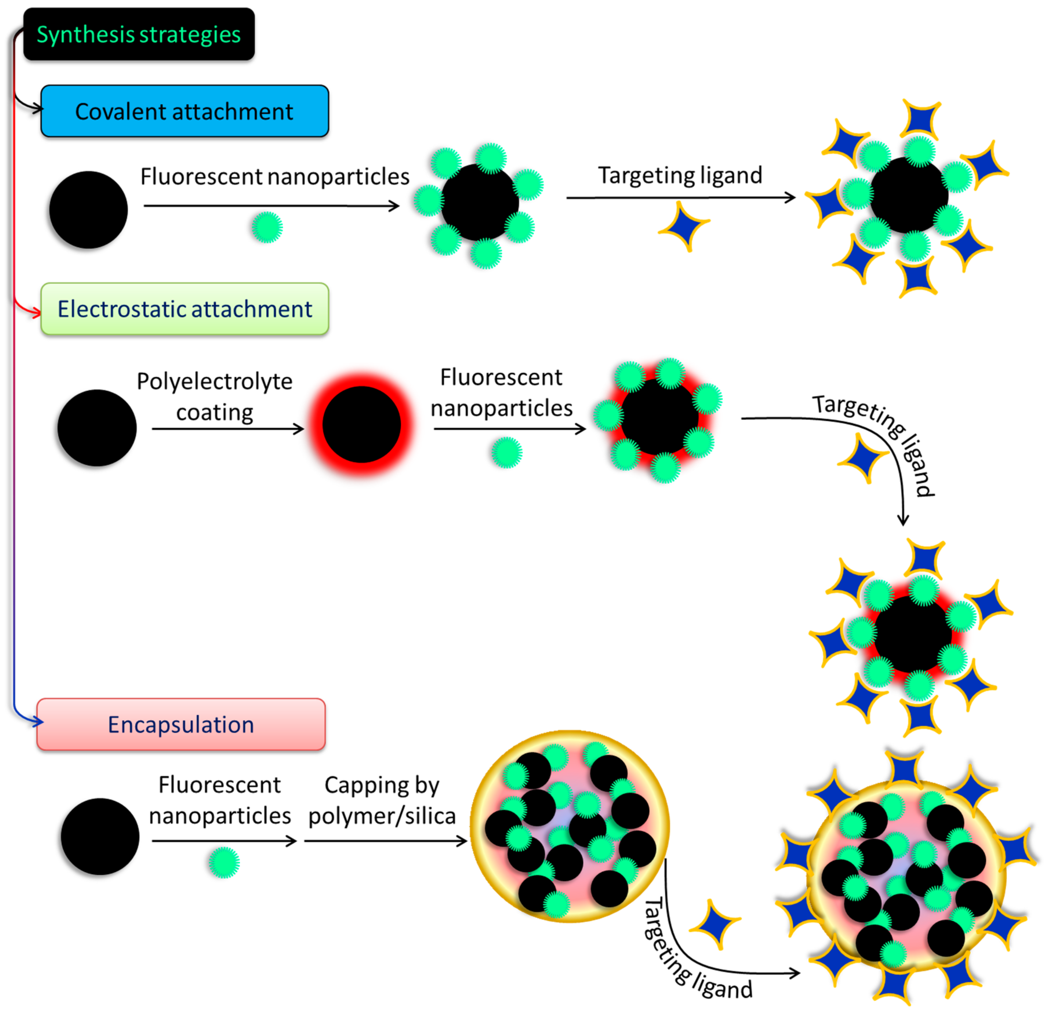 Pharmaceutics 15 00686 g005