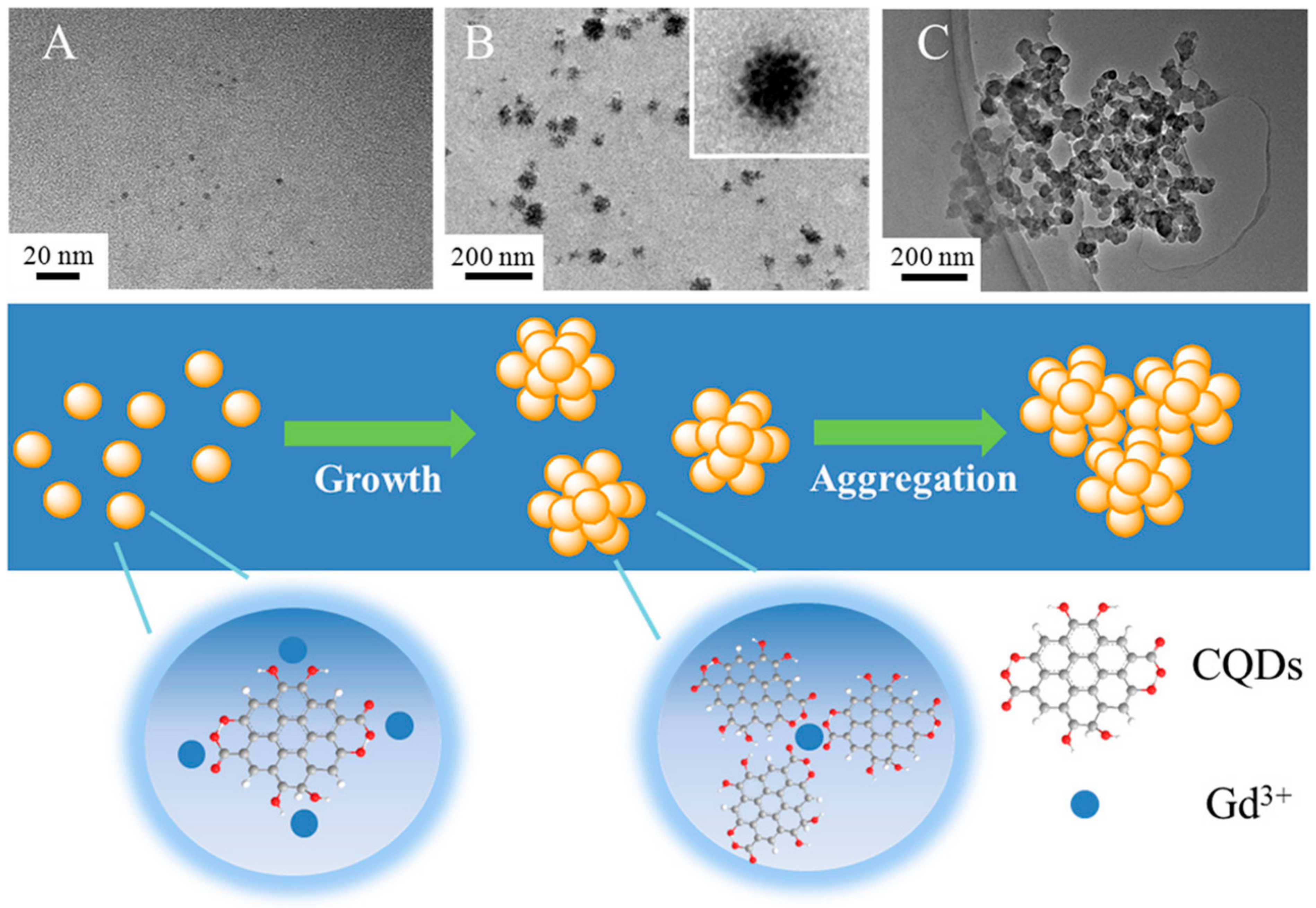 Pharmaceutics 15 00686 g007