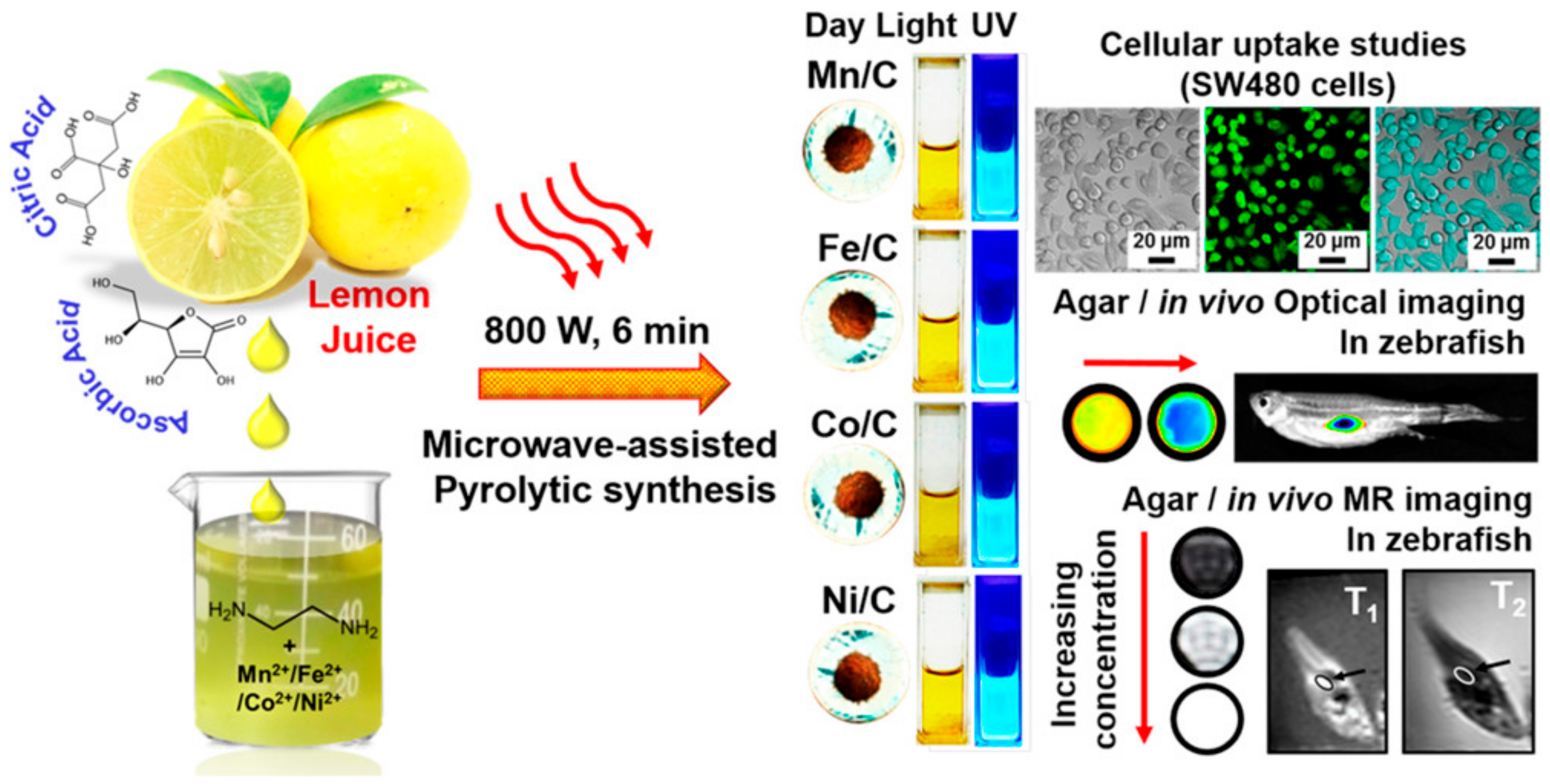 Pharmaceutics 15 00686 g008