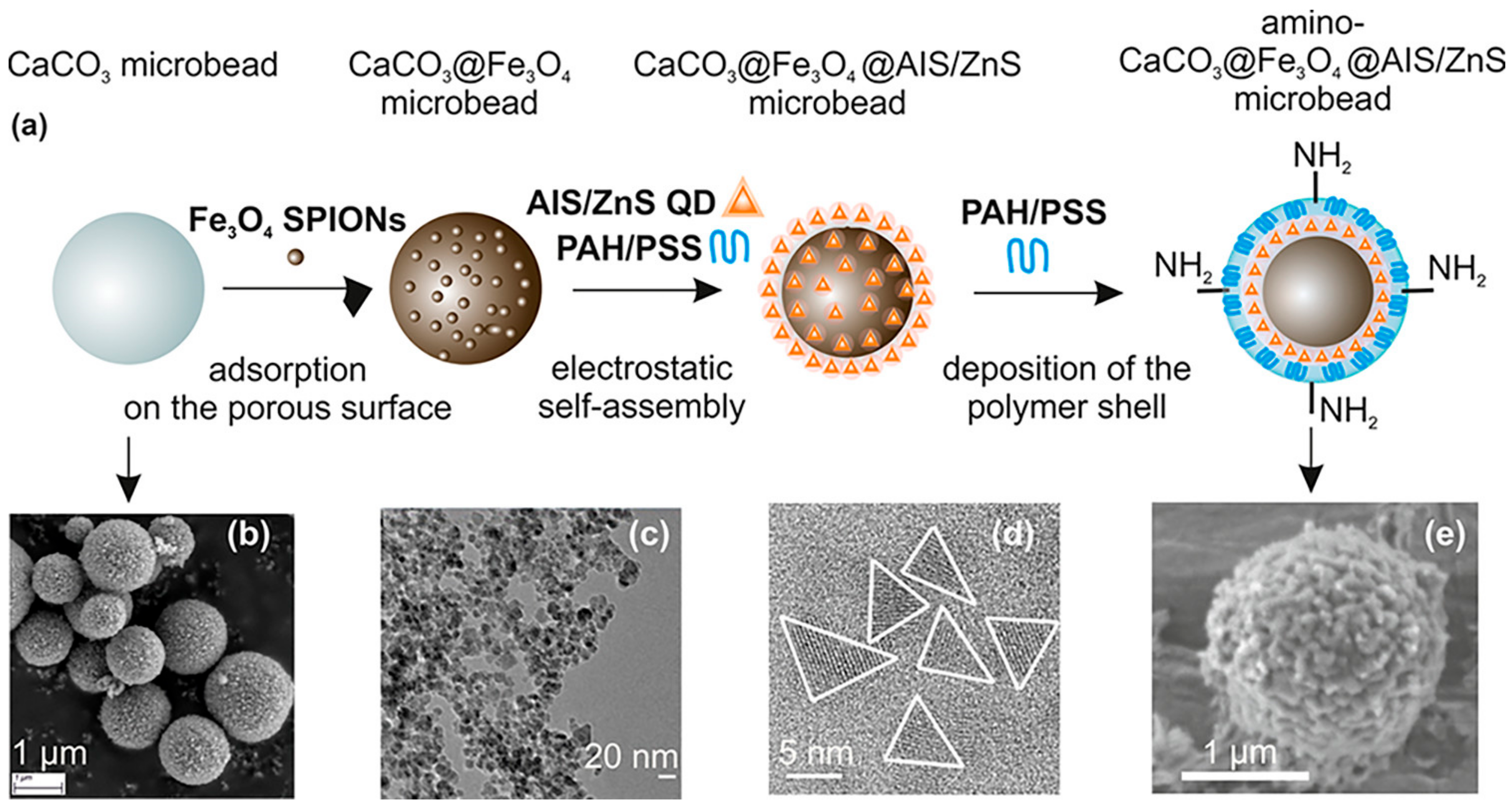Pharmaceutics 15 00686 g010