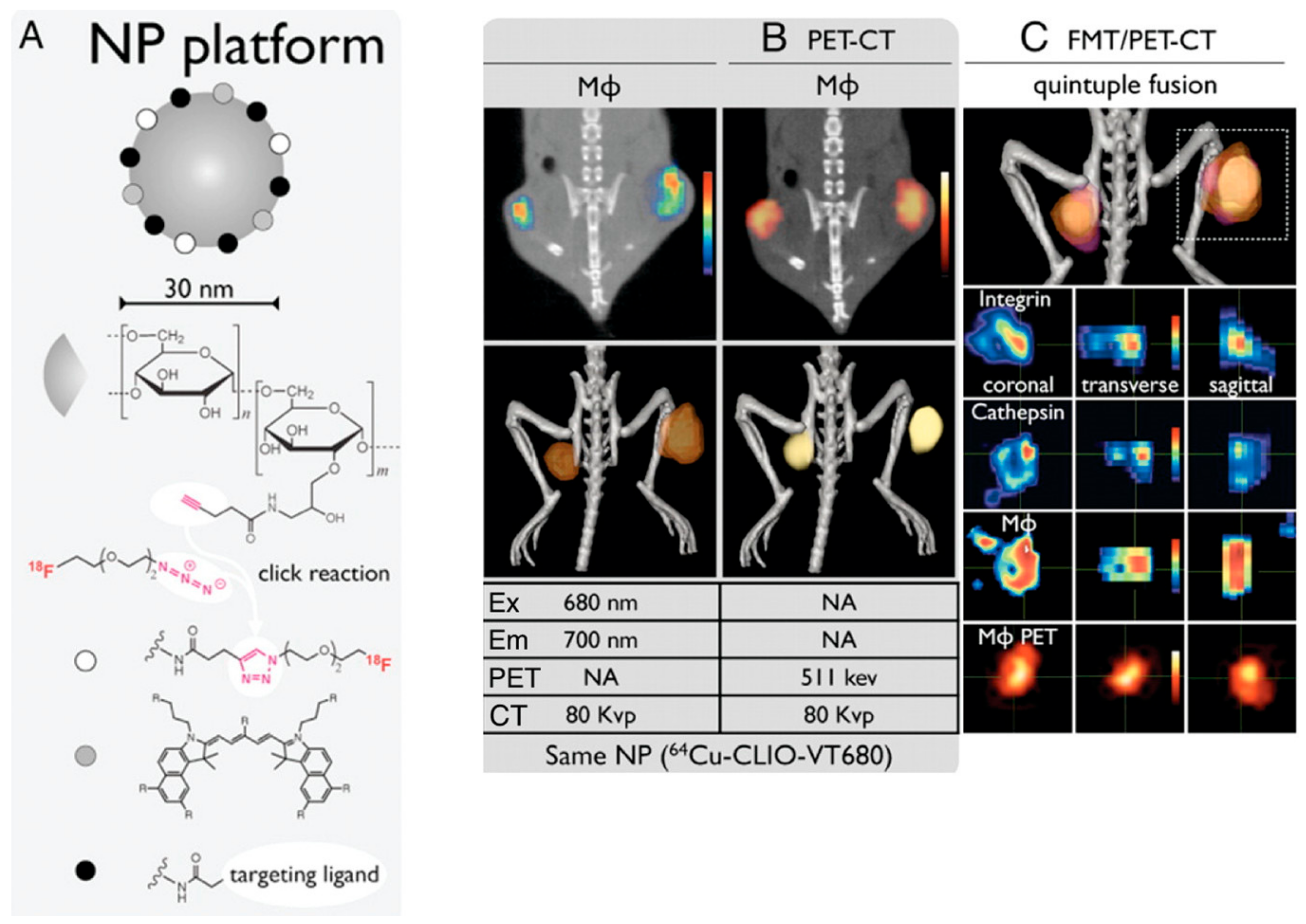 Pharmaceutics 15 00686 g012