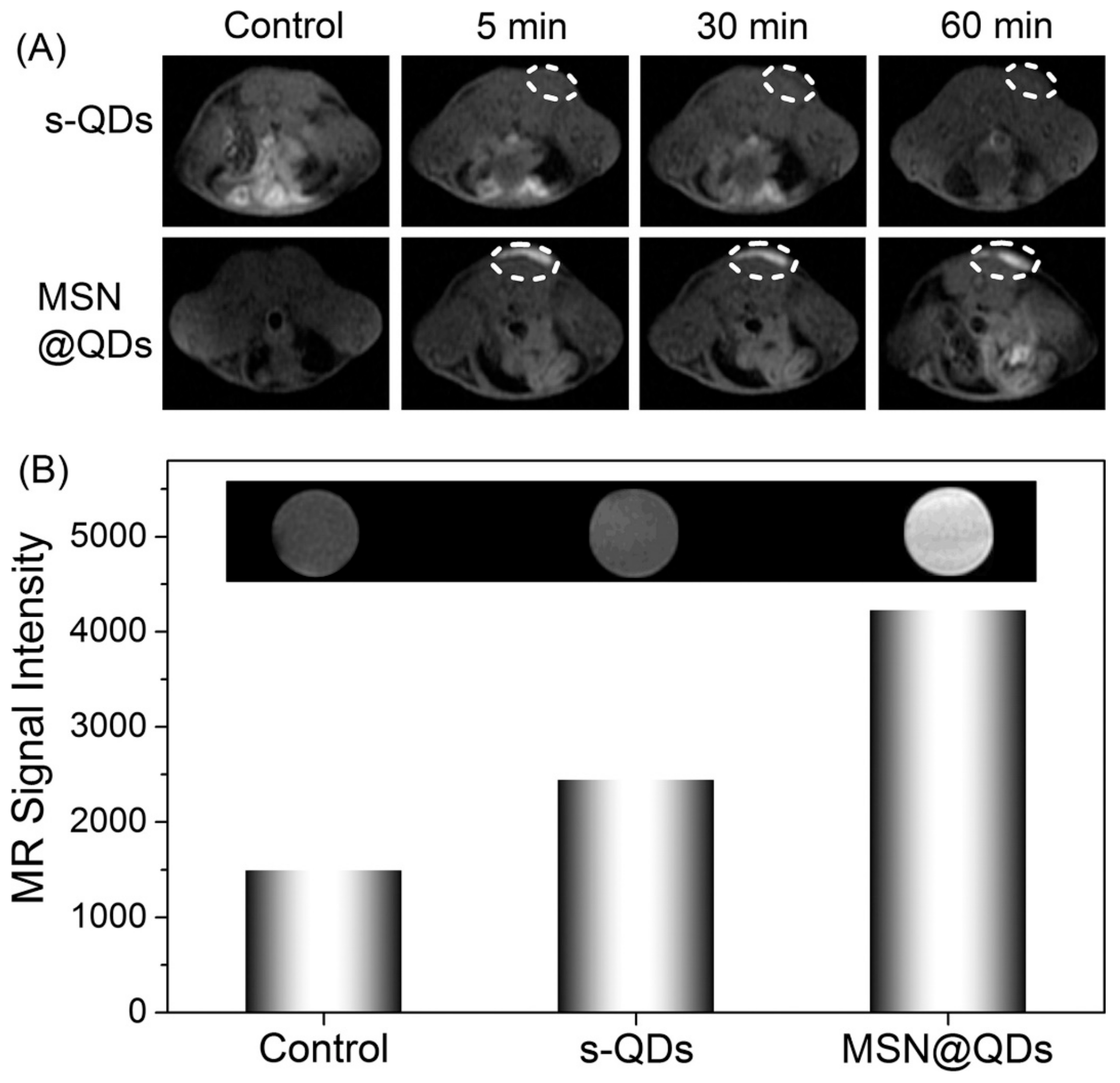Pharmaceutics 15 00686 g016