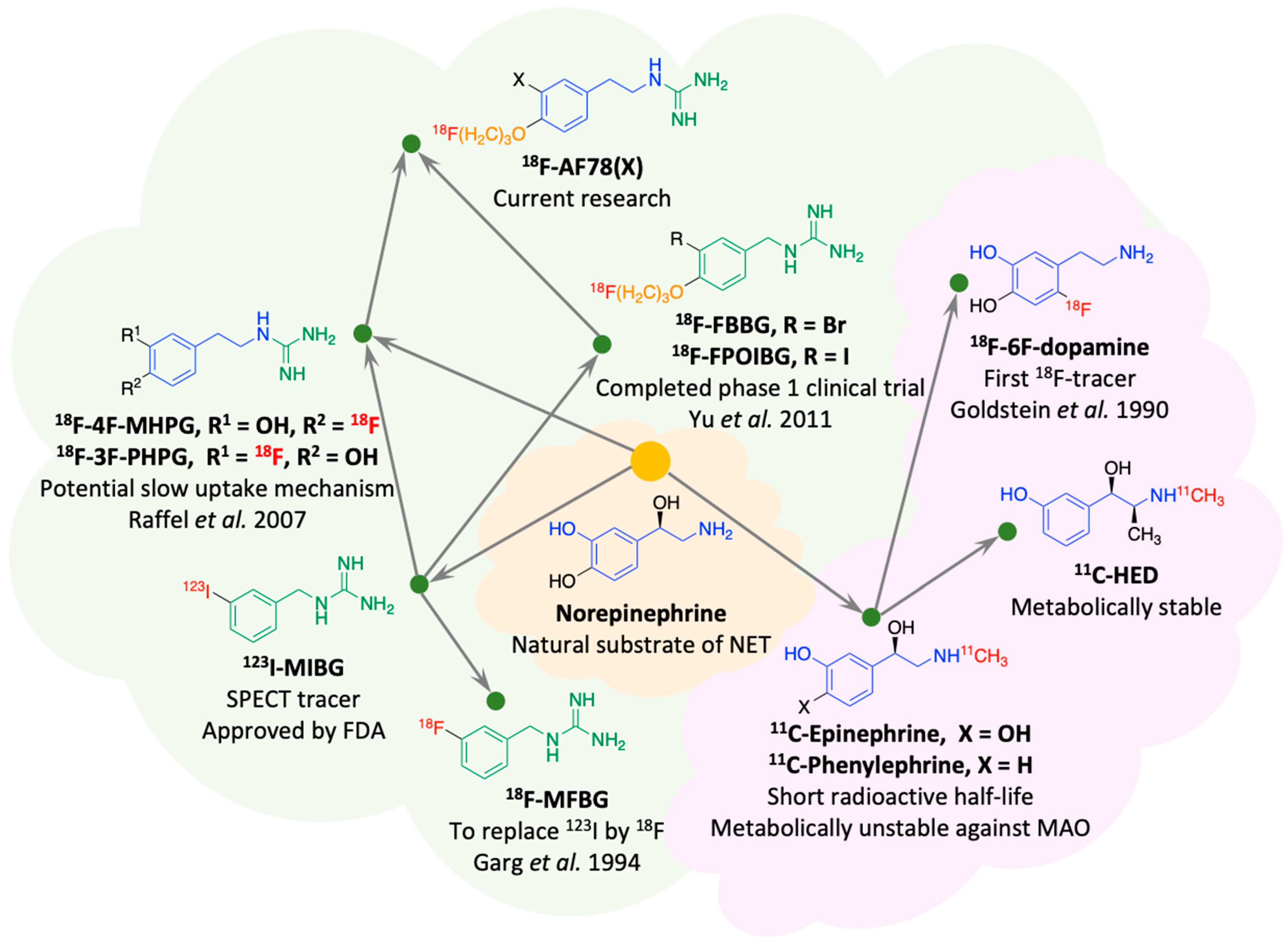 Pharmaceutics 15 00690 g001 Pharmaceutics 15 00690 g001