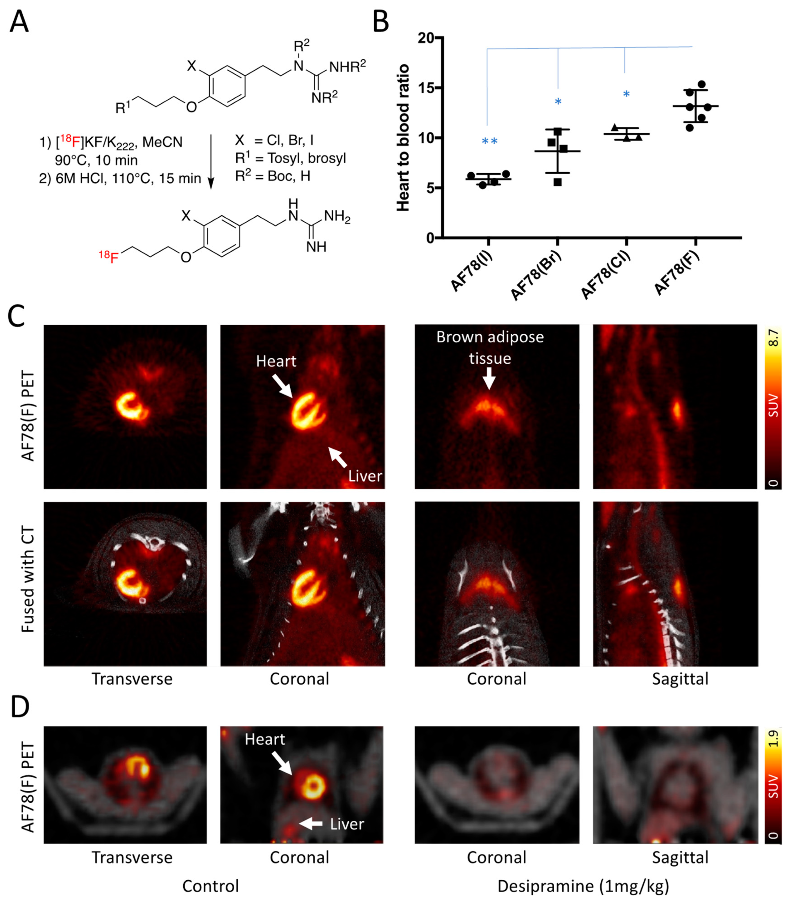 Pharmaceutics 15 00690 g002 Pharmaceutics 15 00690 g002