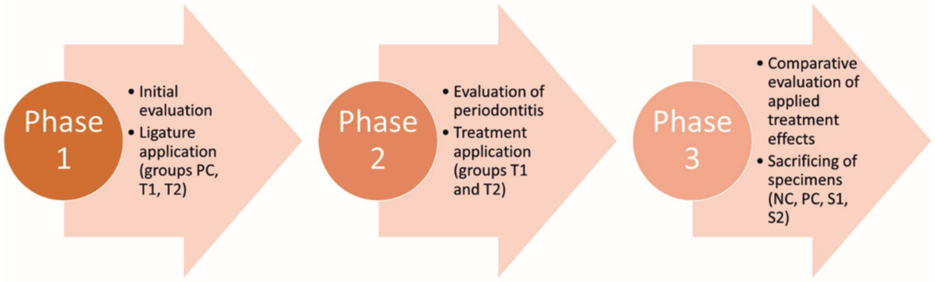 Pharmaceutics 15 00707 g002 Pharmaceutics 15 00707 g002