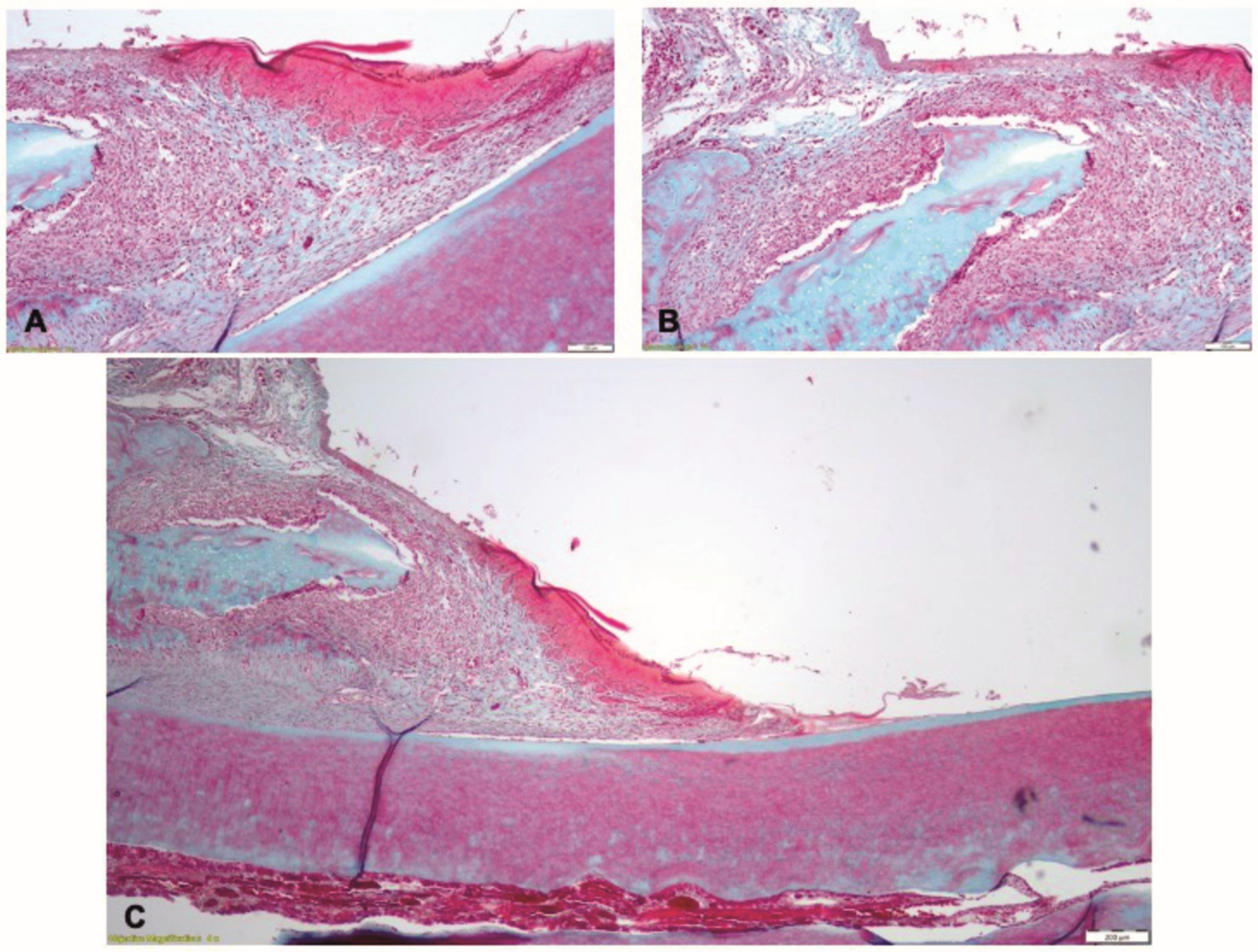 Pharmaceutics 15 00707 g011 Pharmaceutics 15 00707 g011