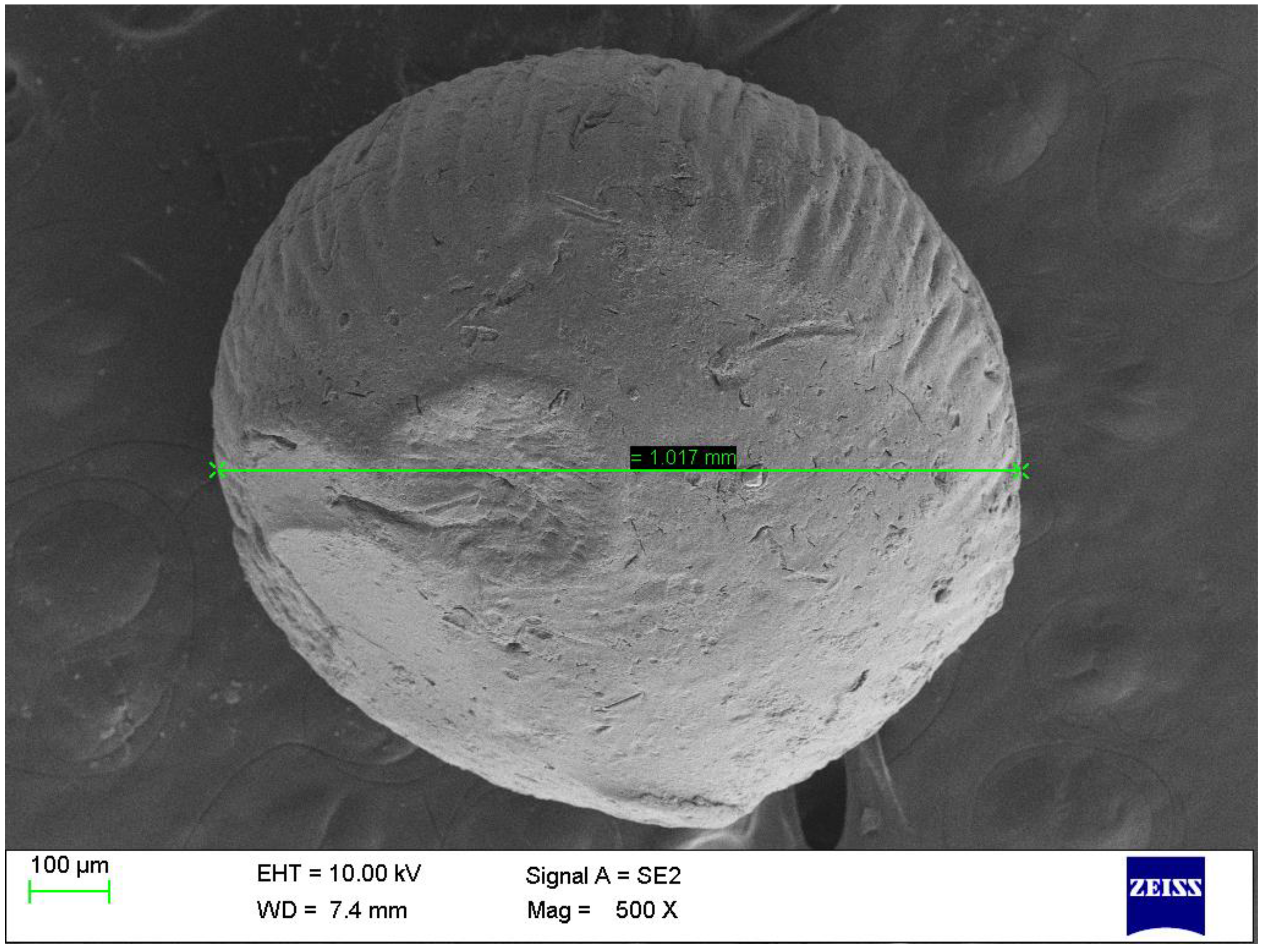 Pharmaceutics 15 00709 g010 Pharmaceutics 15 00709 g010