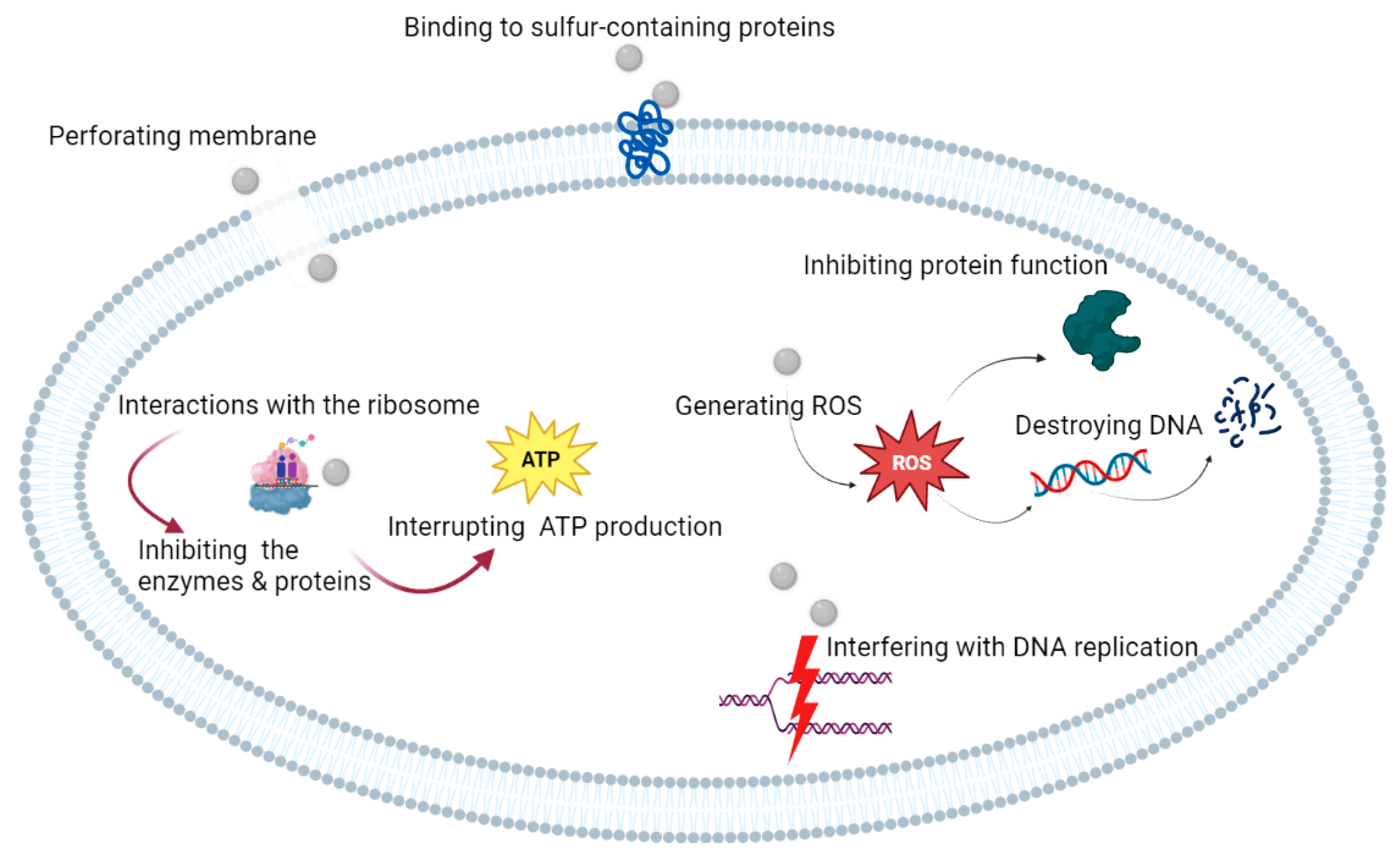 Pharmaceutics 15 00715 g002 Pharmaceutics 15 00715 g002