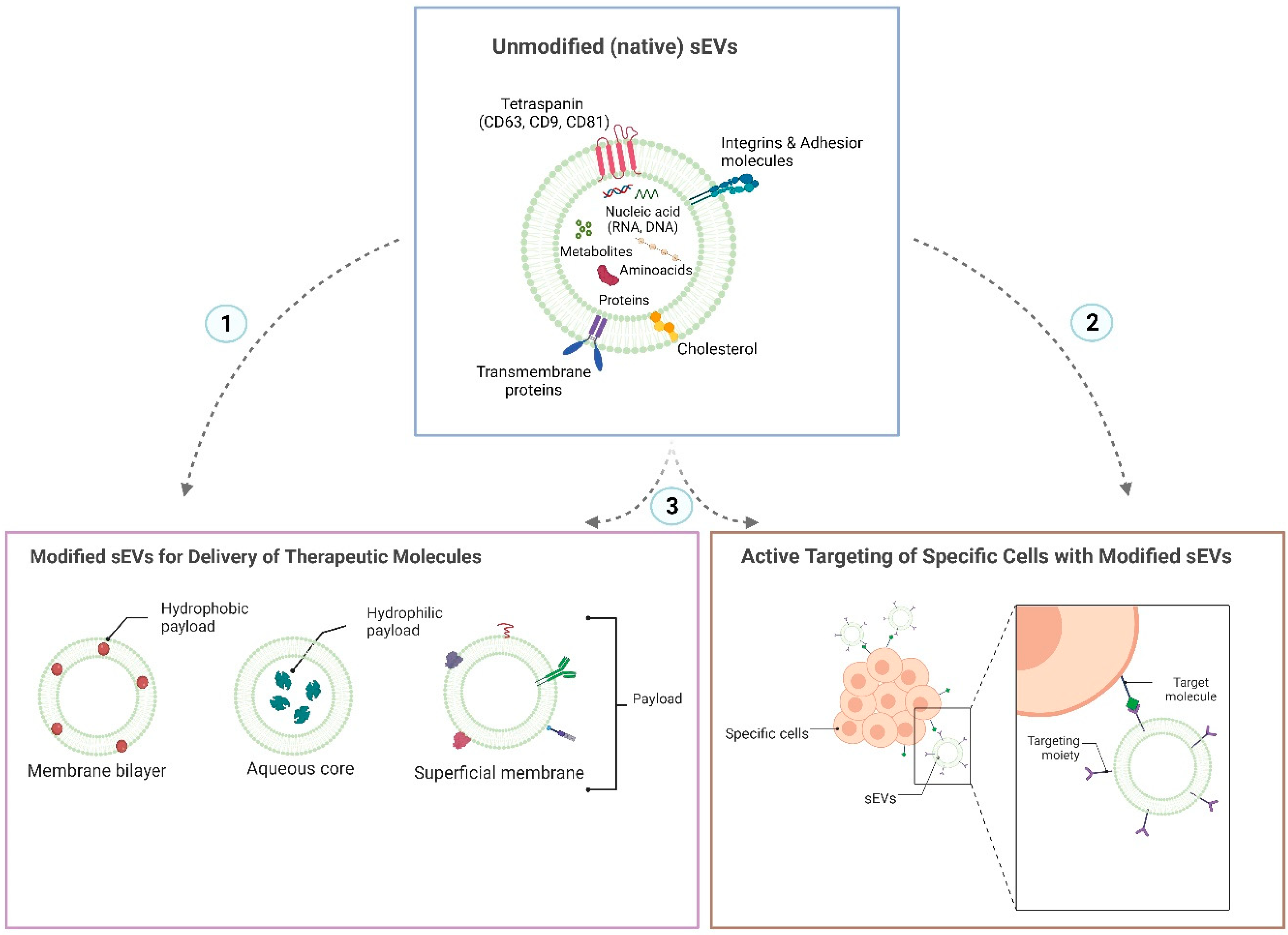 Pharmaceutics 15 00716 g001 Pharmaceutics 15 00716 g001