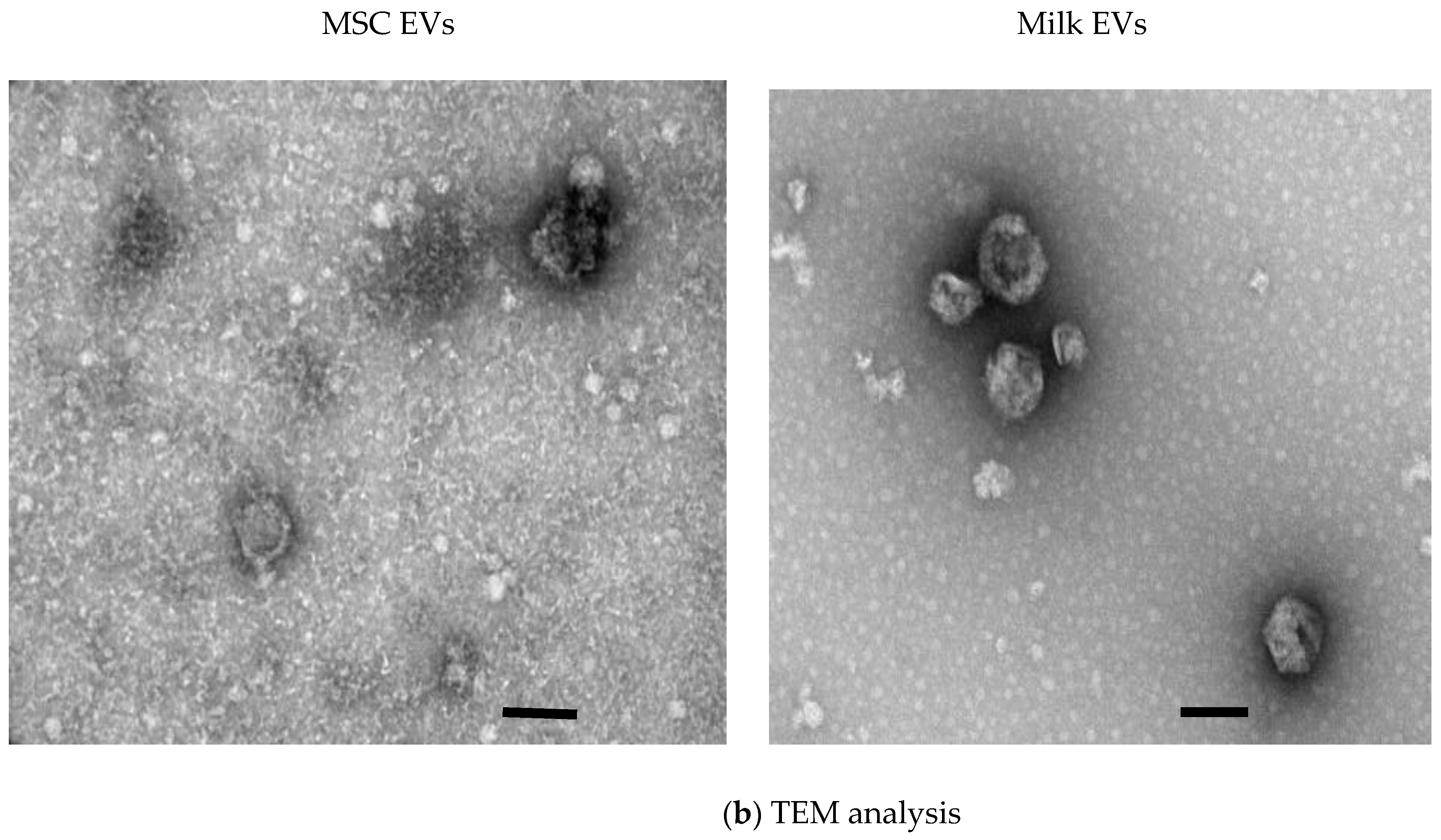 Pharmaceutics 15 00718 g002b Pharmaceutics 15 00718 g002b