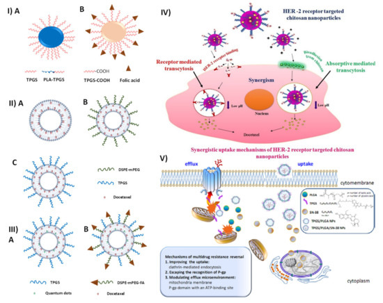 Pharmaceutics 15 00722 g004