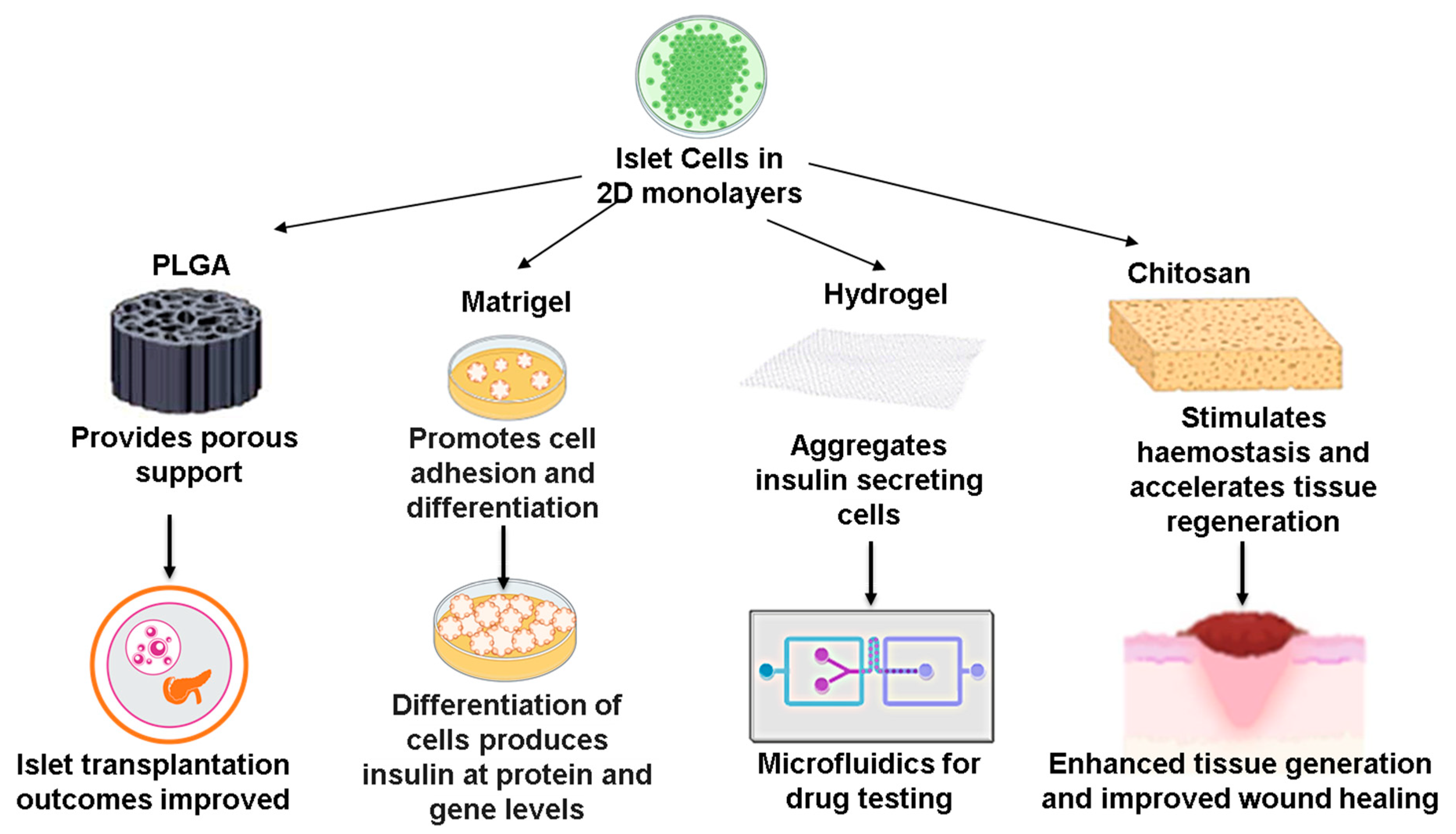 Pharmaceutics 15 00725 g001
