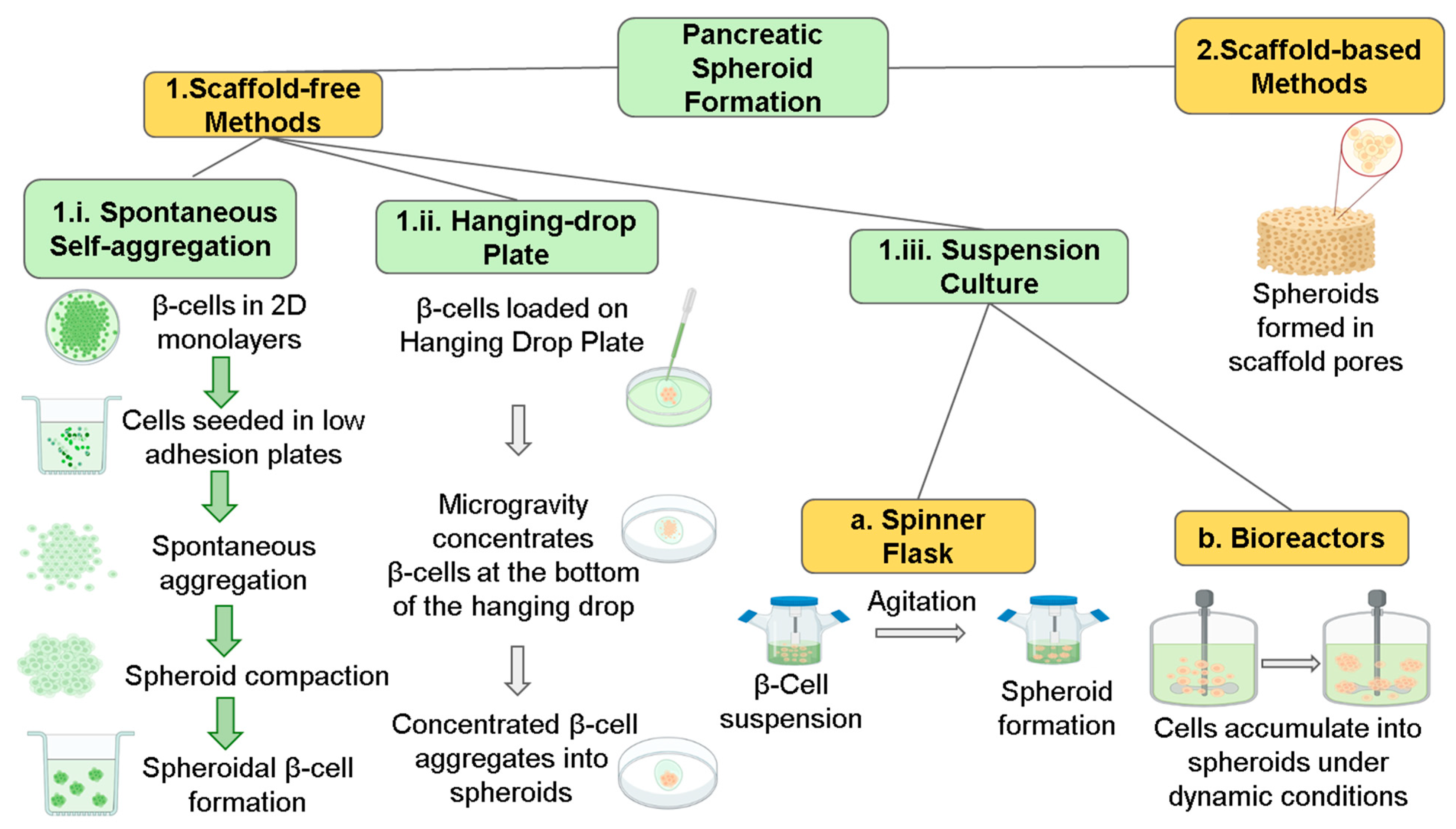 Pharmaceutics 15 00725 g004