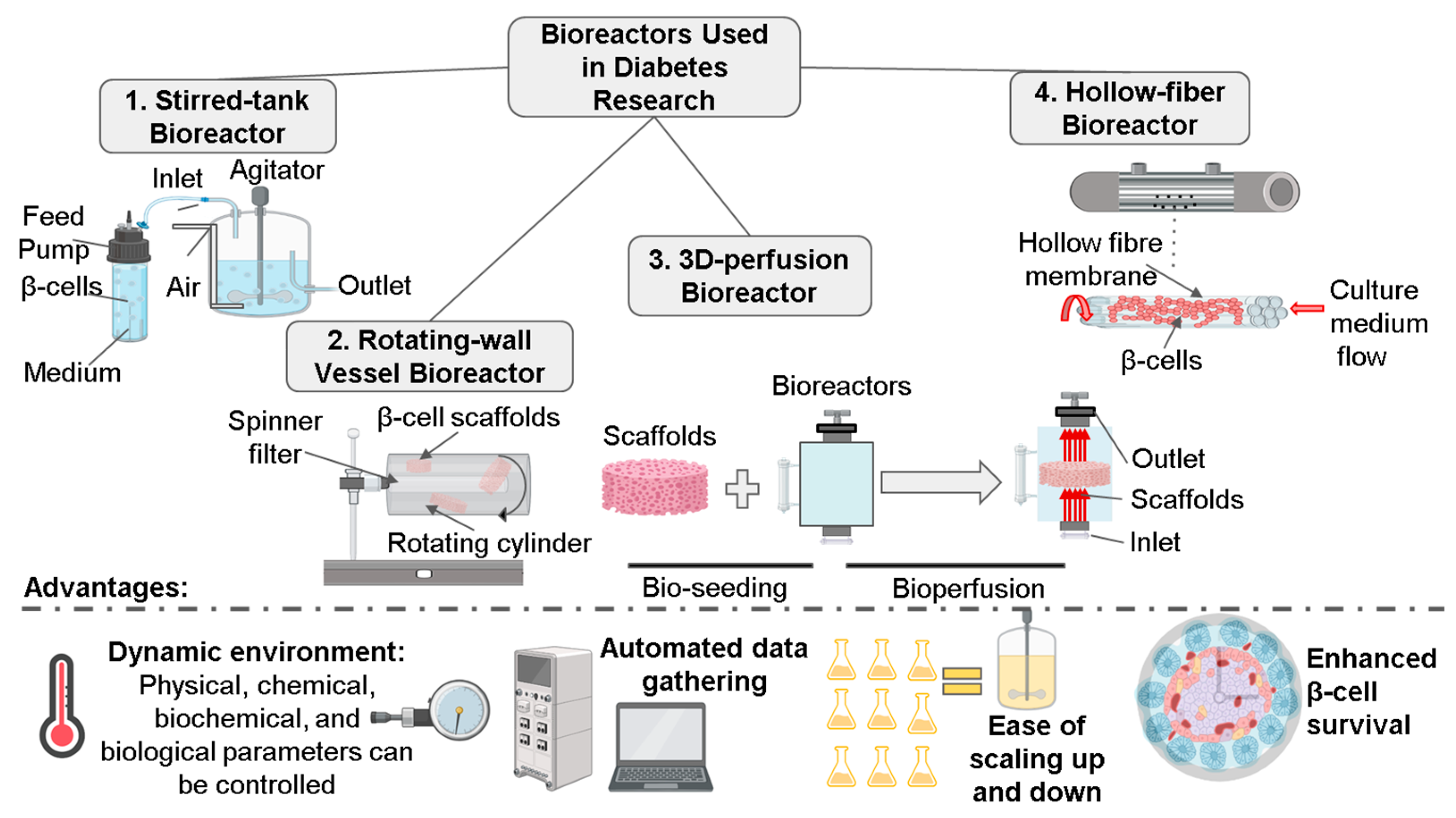 Pharmaceutics 15 00725 g005