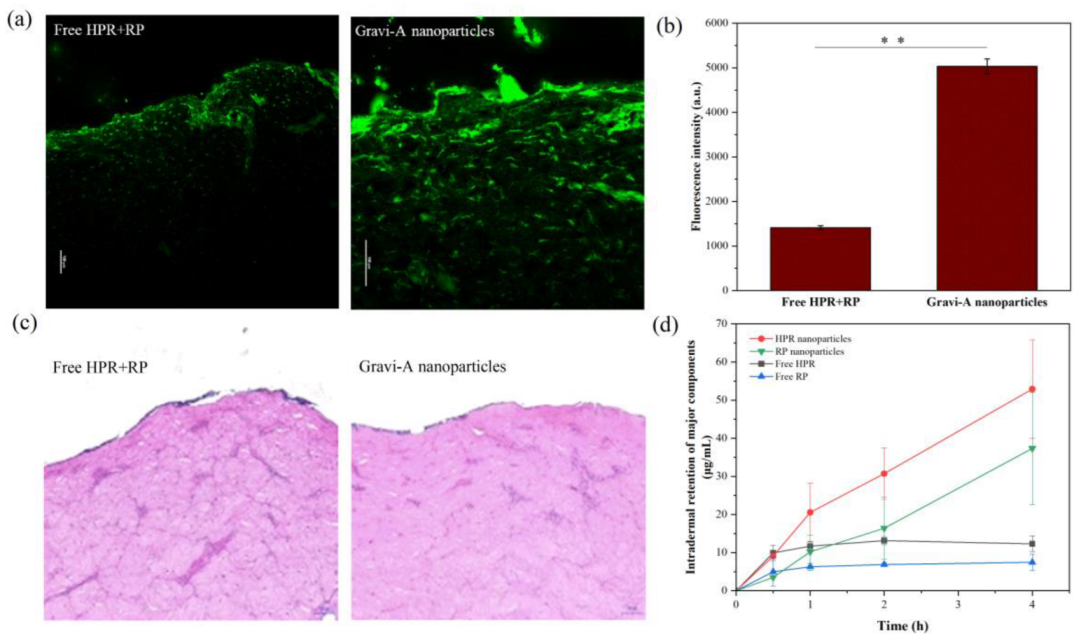 Pharmaceutics 15 00731 g004