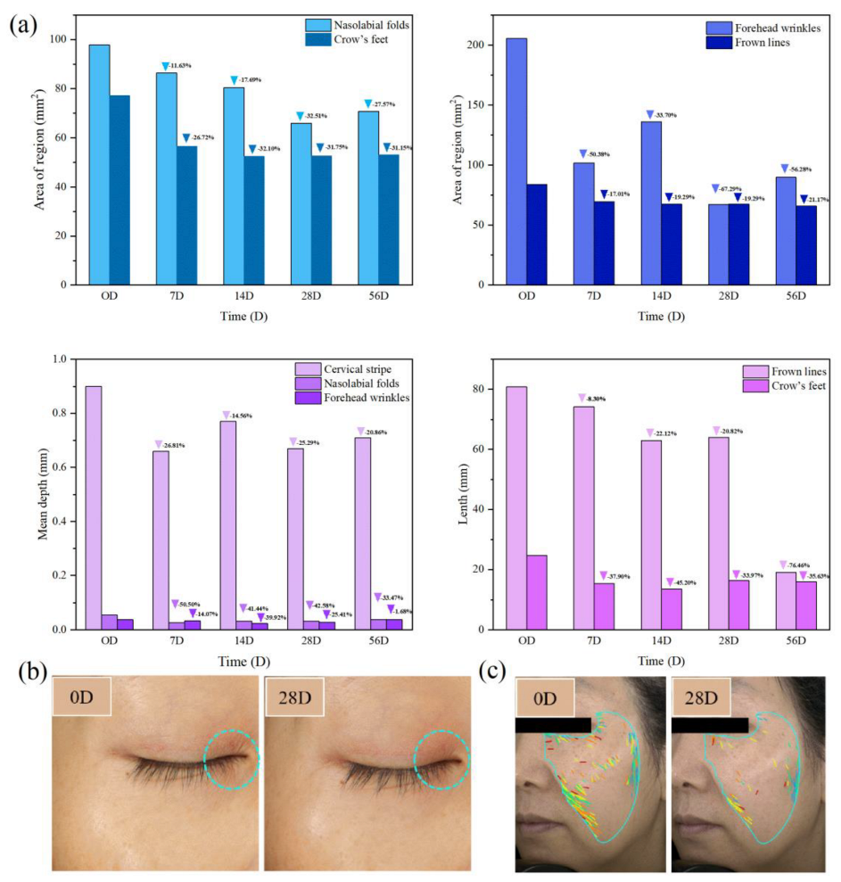 Pharmaceutics 15 00731 g007