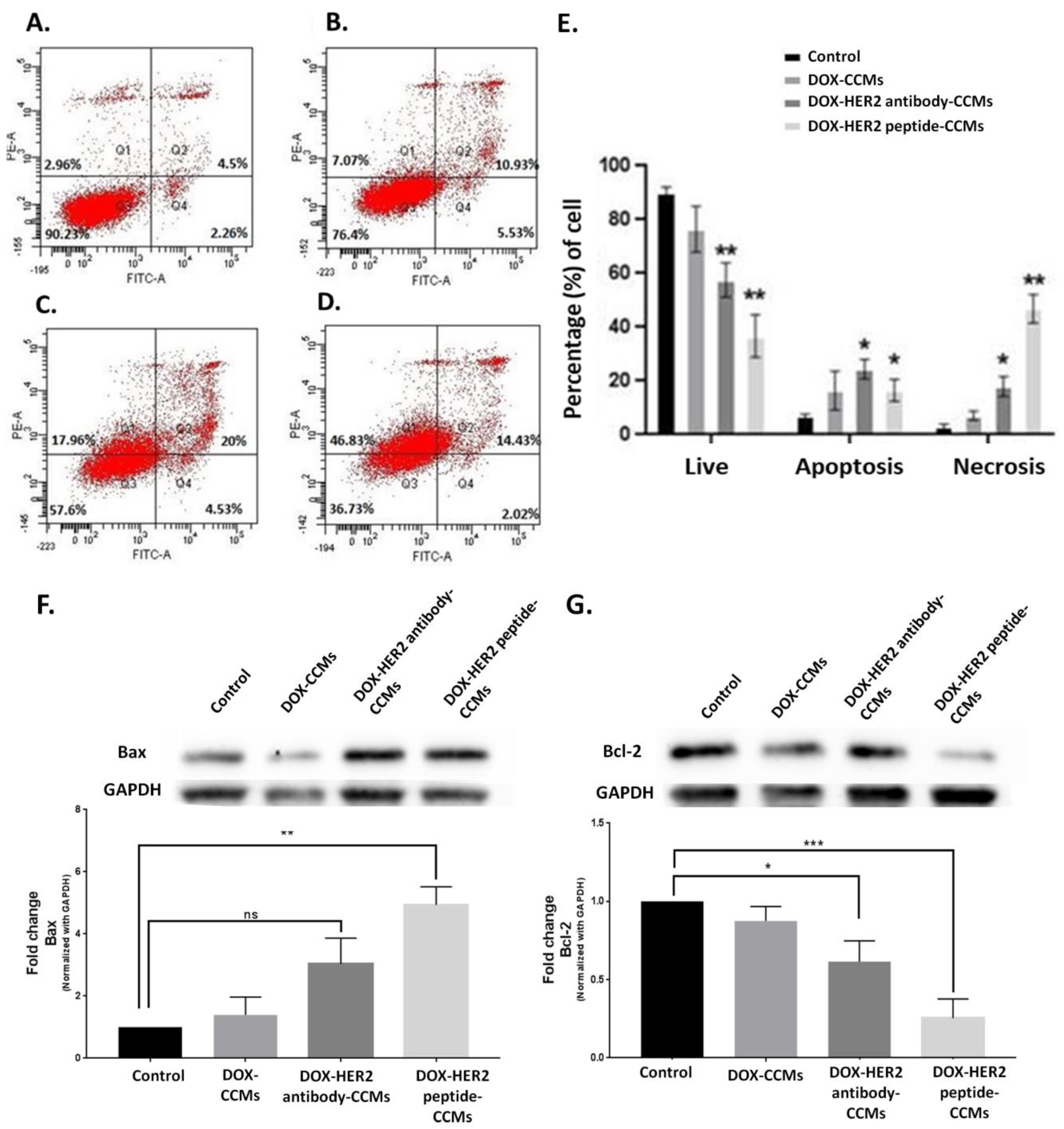 Pharmaceutics 15 00733 g008