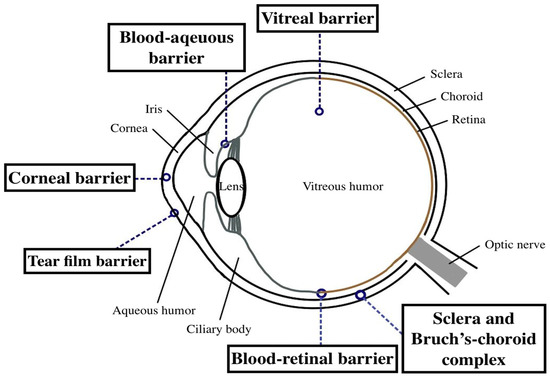 Pharmaceutics 15 00734 g001