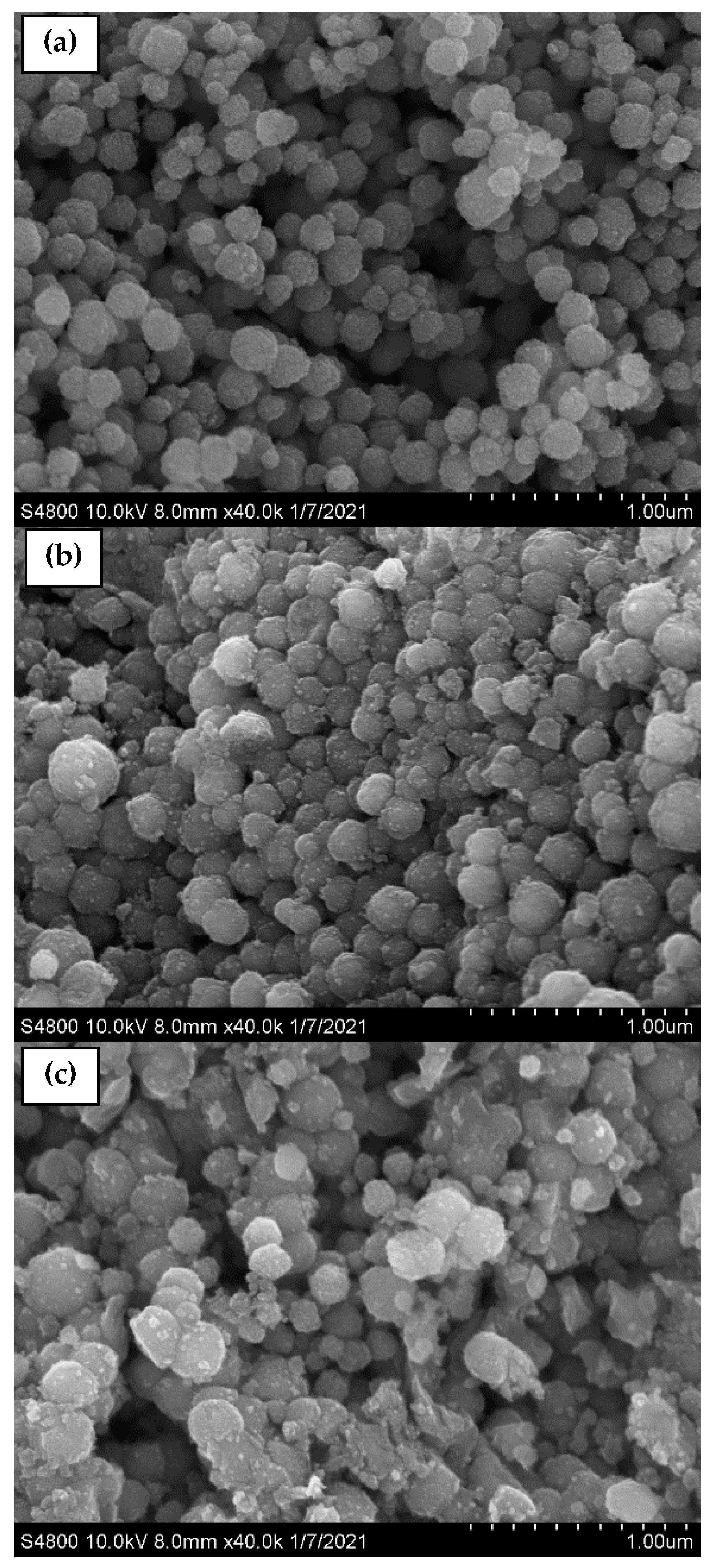 Pharmaceutics 15 00740 g003