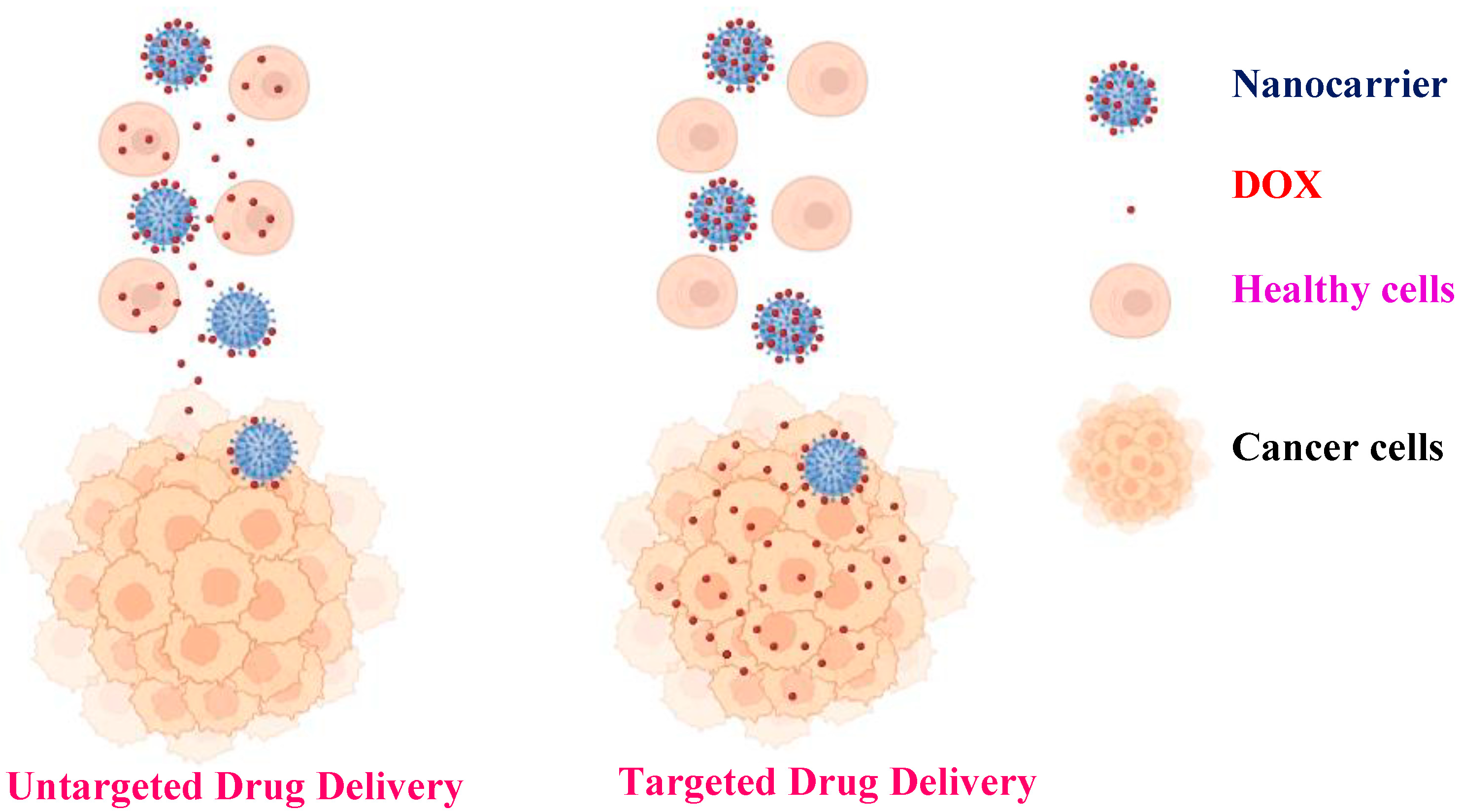 Pharmaceutics 15 00740 sch001