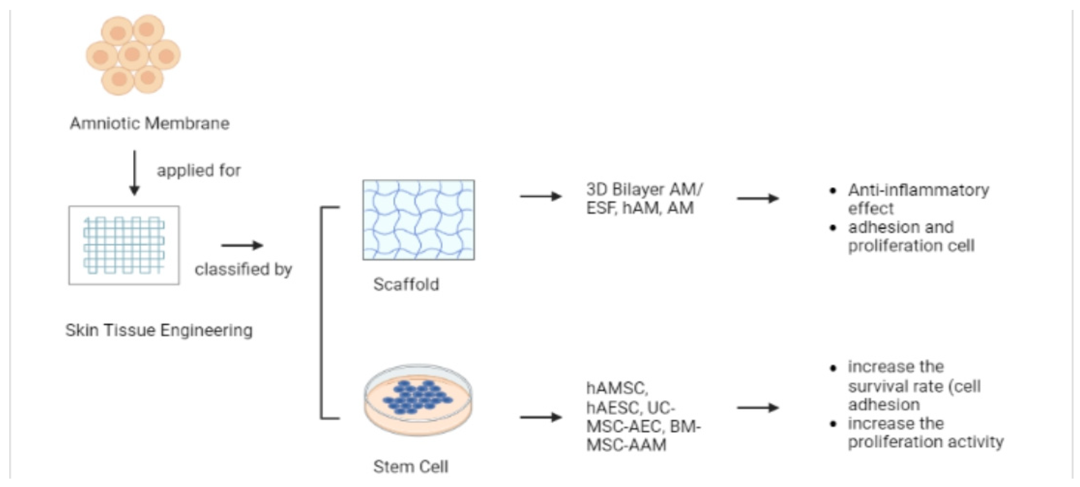 Pharmaceutics 15 00748 g003 Pharmaceutics 15 00748 g003