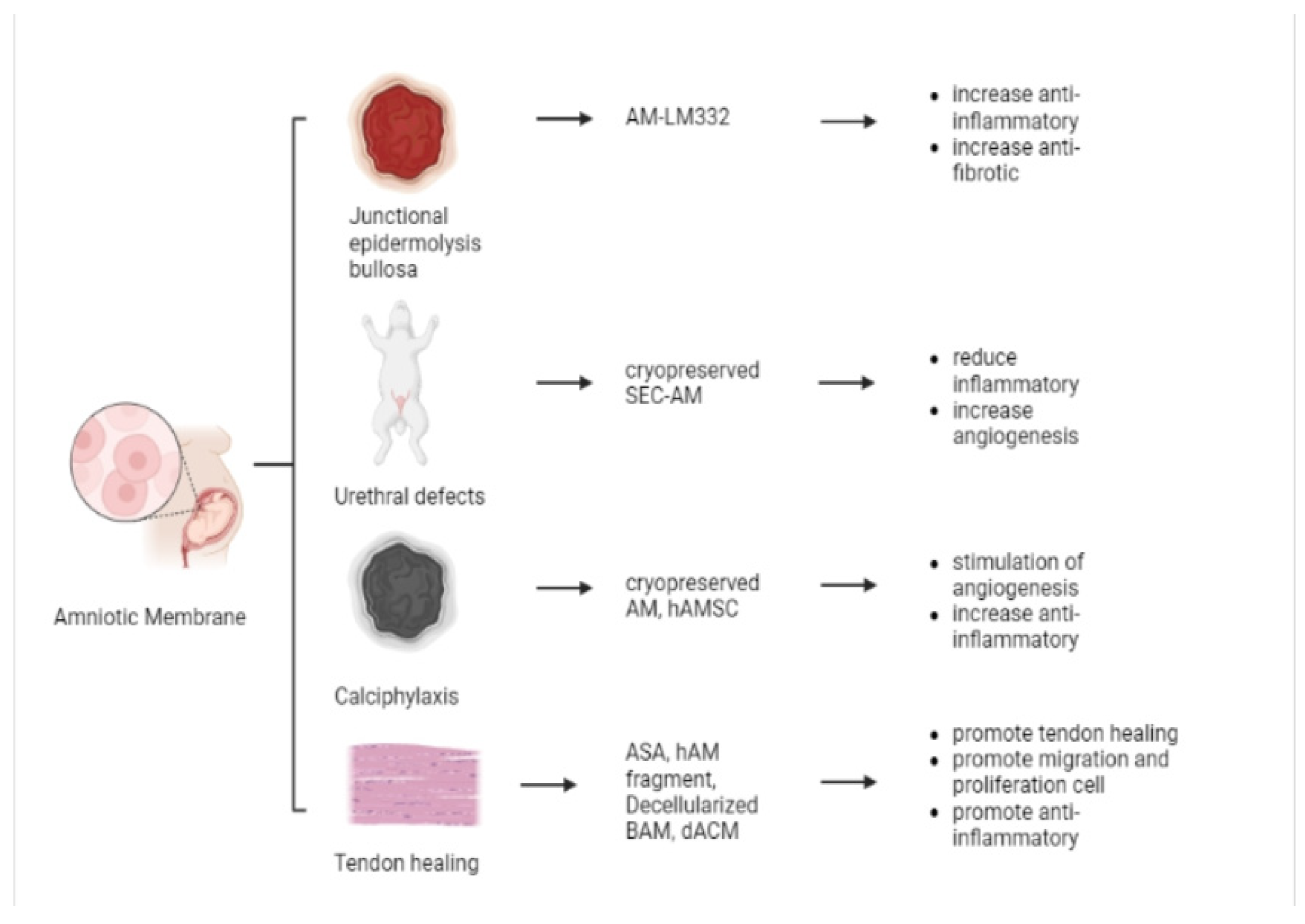 Pharmaceutics 15 00748 g004 Pharmaceutics 15 00748 g004