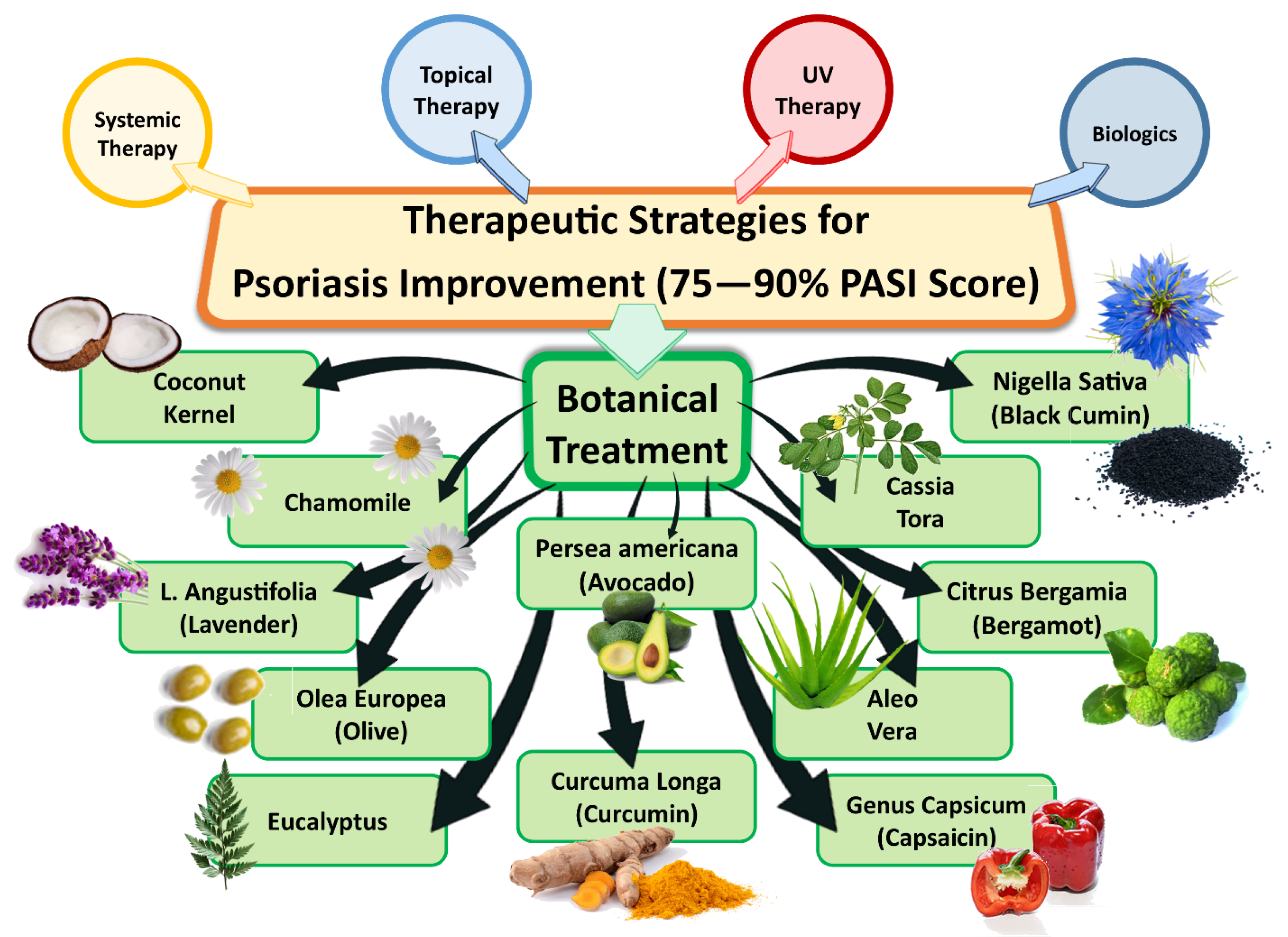 Pharmaceutics 15 00750 g002