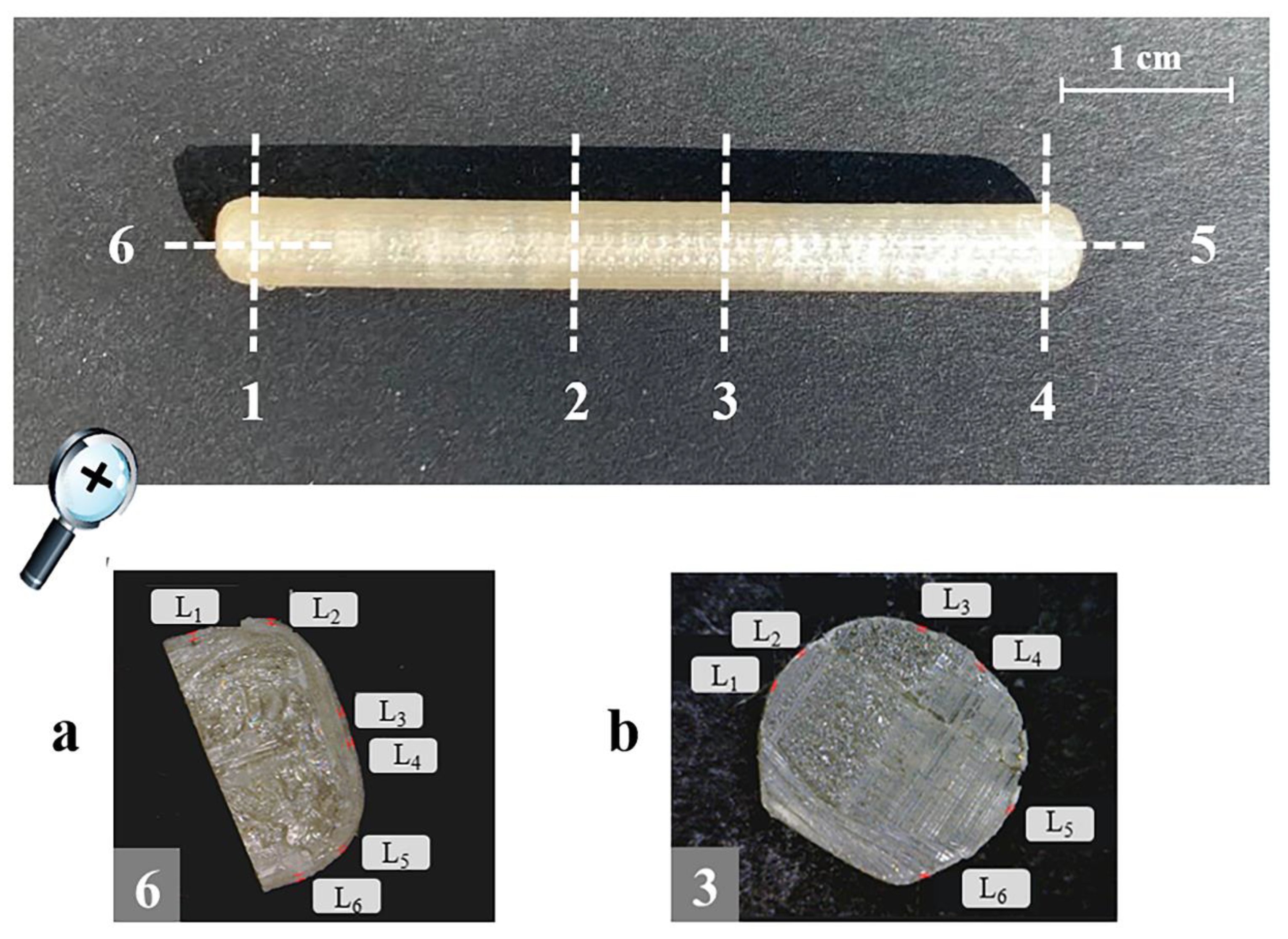 Pharmaceutics 15 00757 g002 Pharmaceutics 15 00757 g002