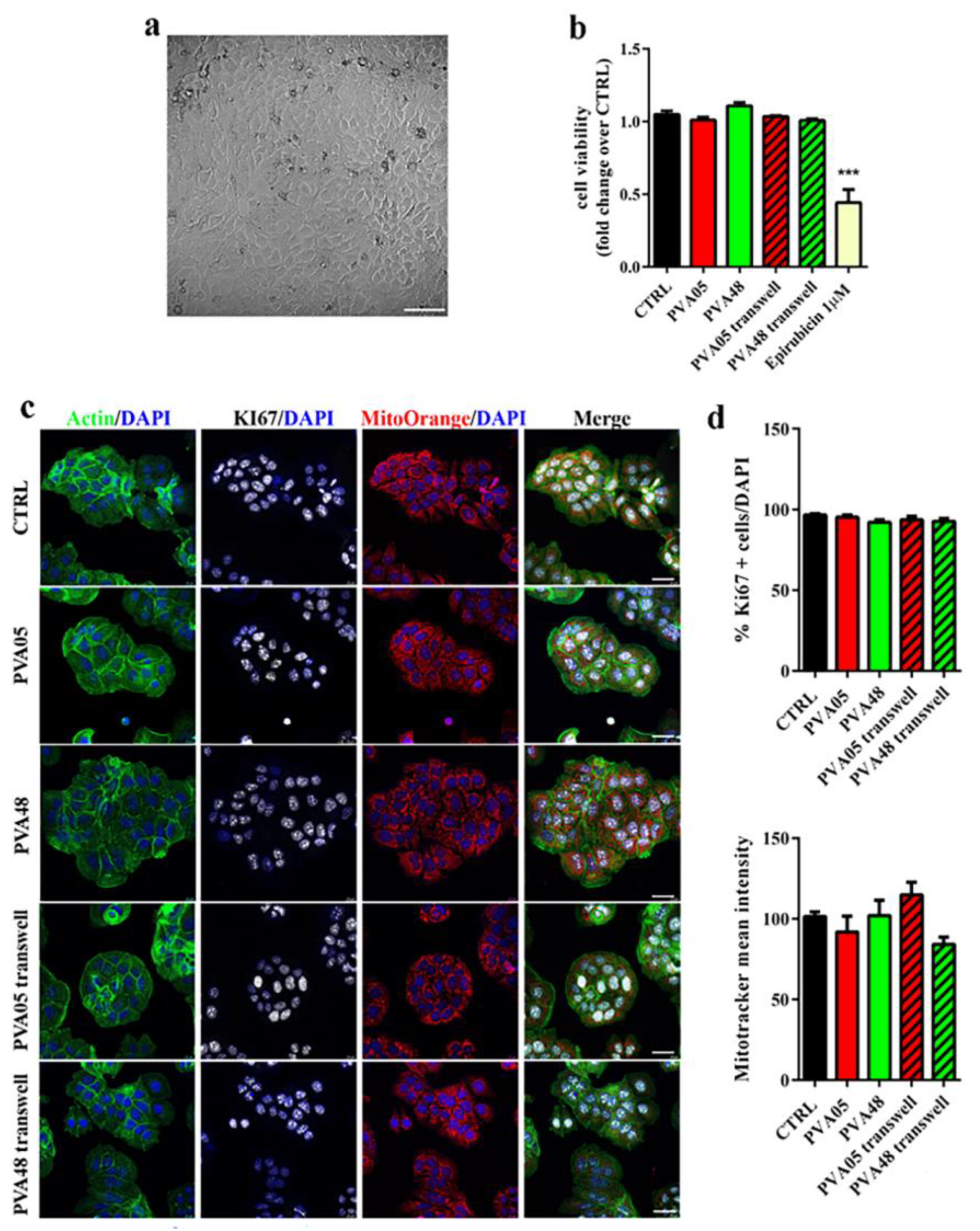 Pharmaceutics 15 00757 g003 Pharmaceutics 15 00757 g003