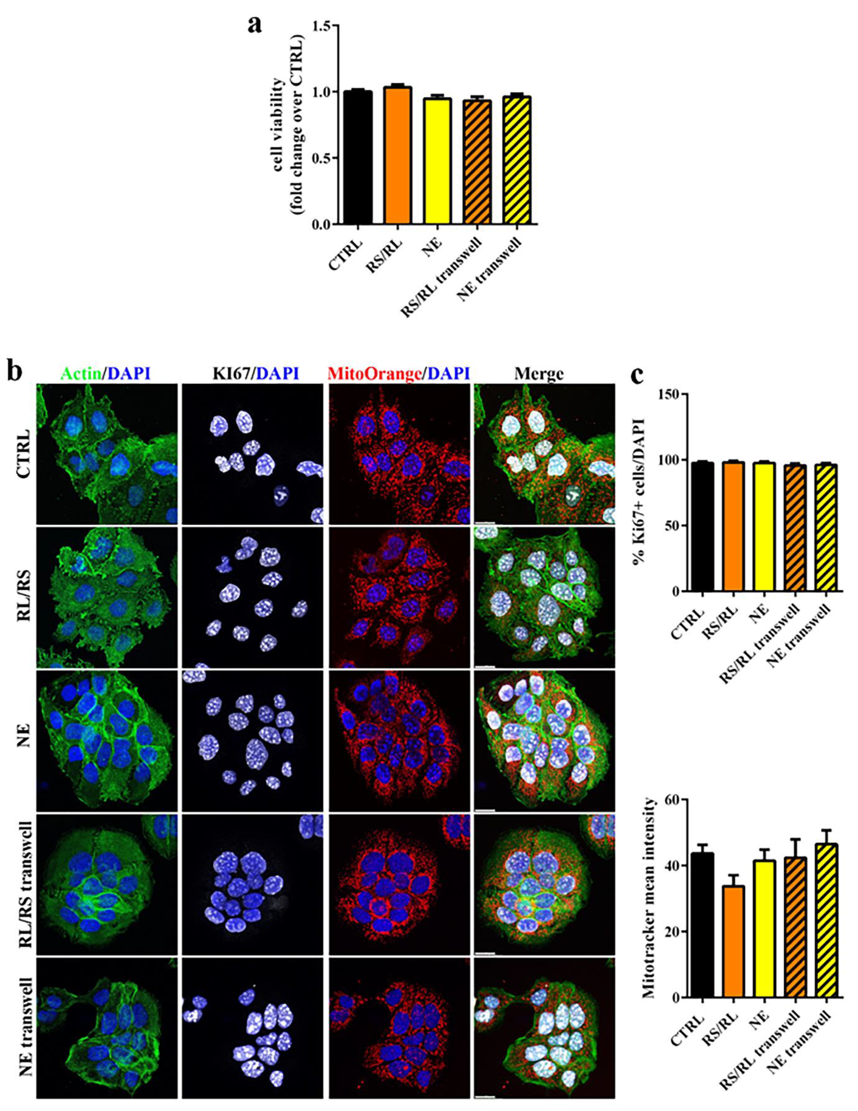 Pharmaceutics 15 00757 g004 Pharmaceutics 15 00757 g004