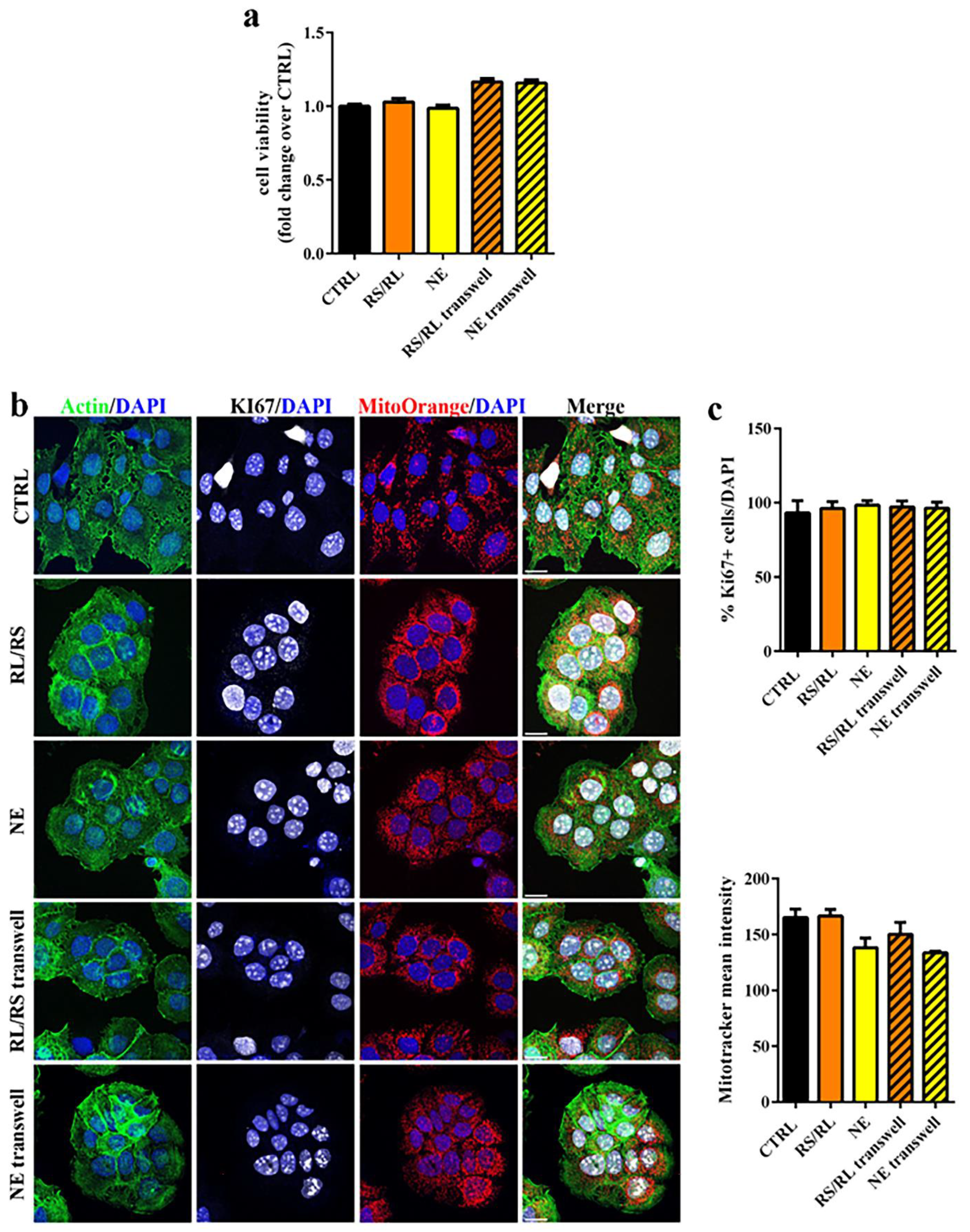 Pharmaceutics 15 00757 g005 Pharmaceutics 15 00757 g005